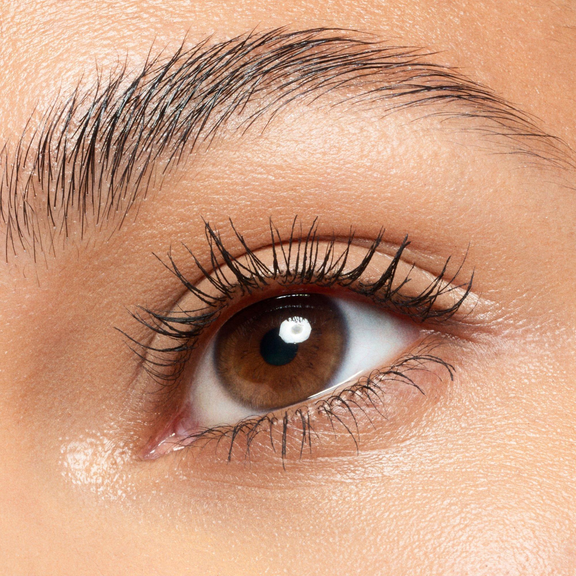 Lash Brow Designer Ripsme & kulmu geeltušš