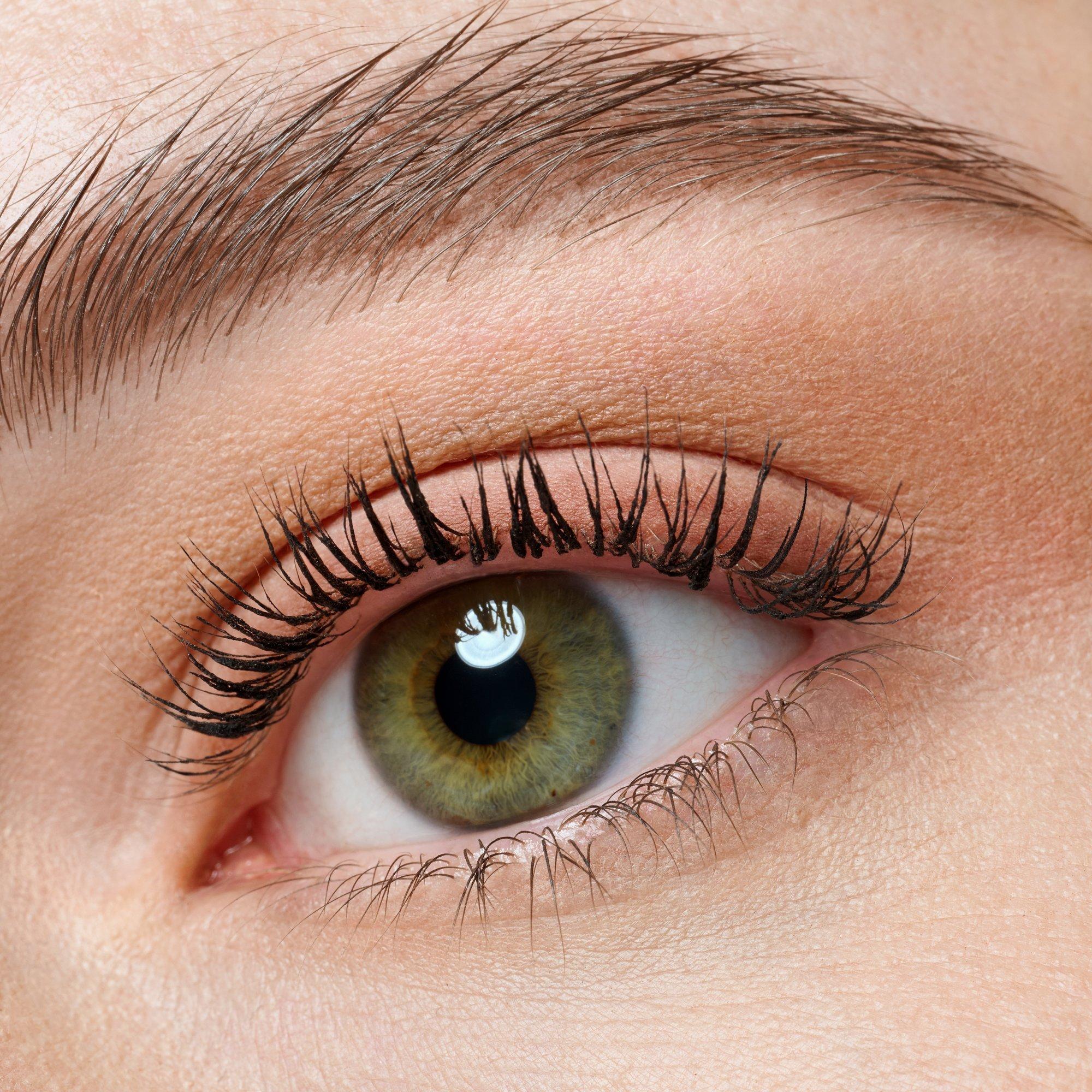 the BROWN edition mini eyeshadow palette