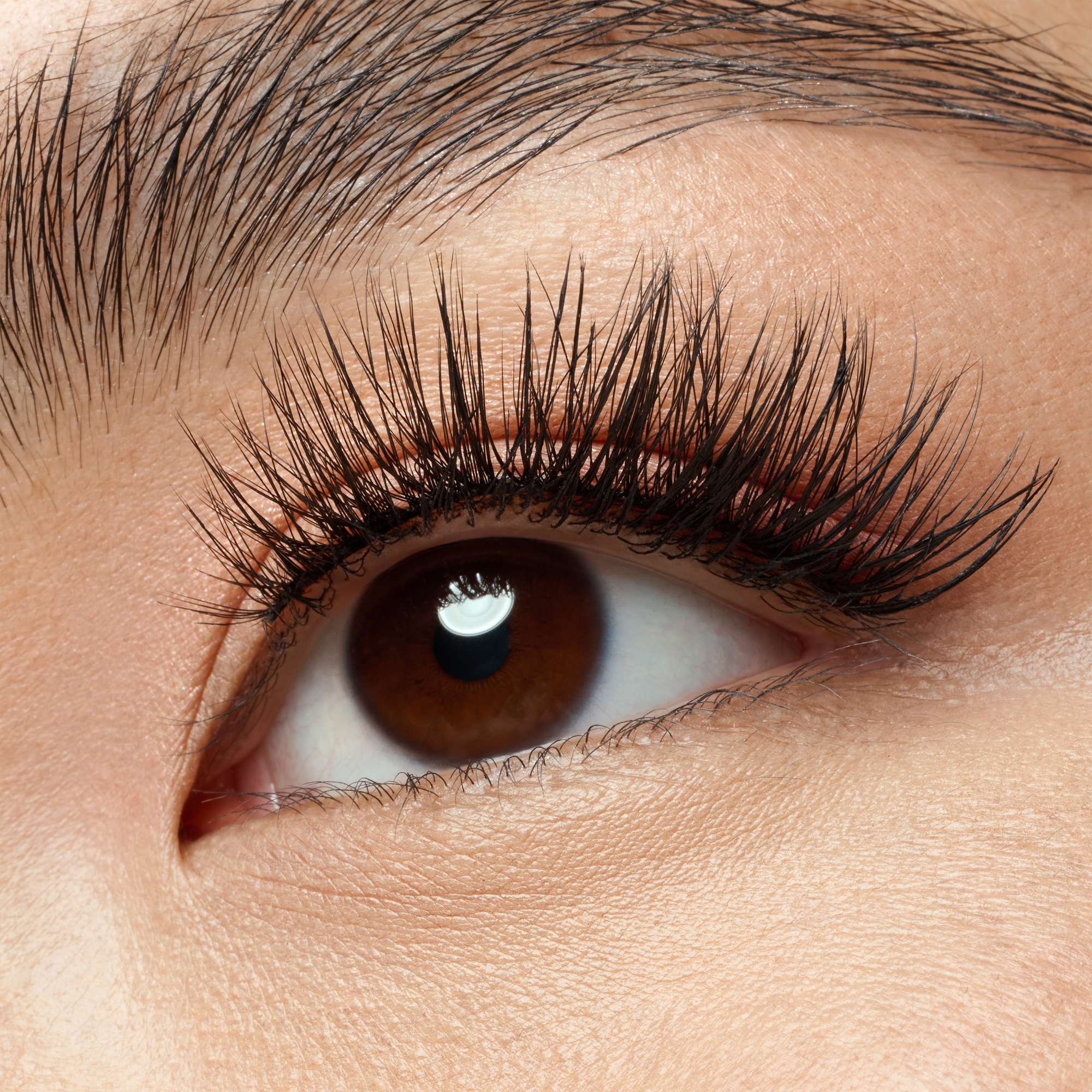 what the FAKE! false lashes