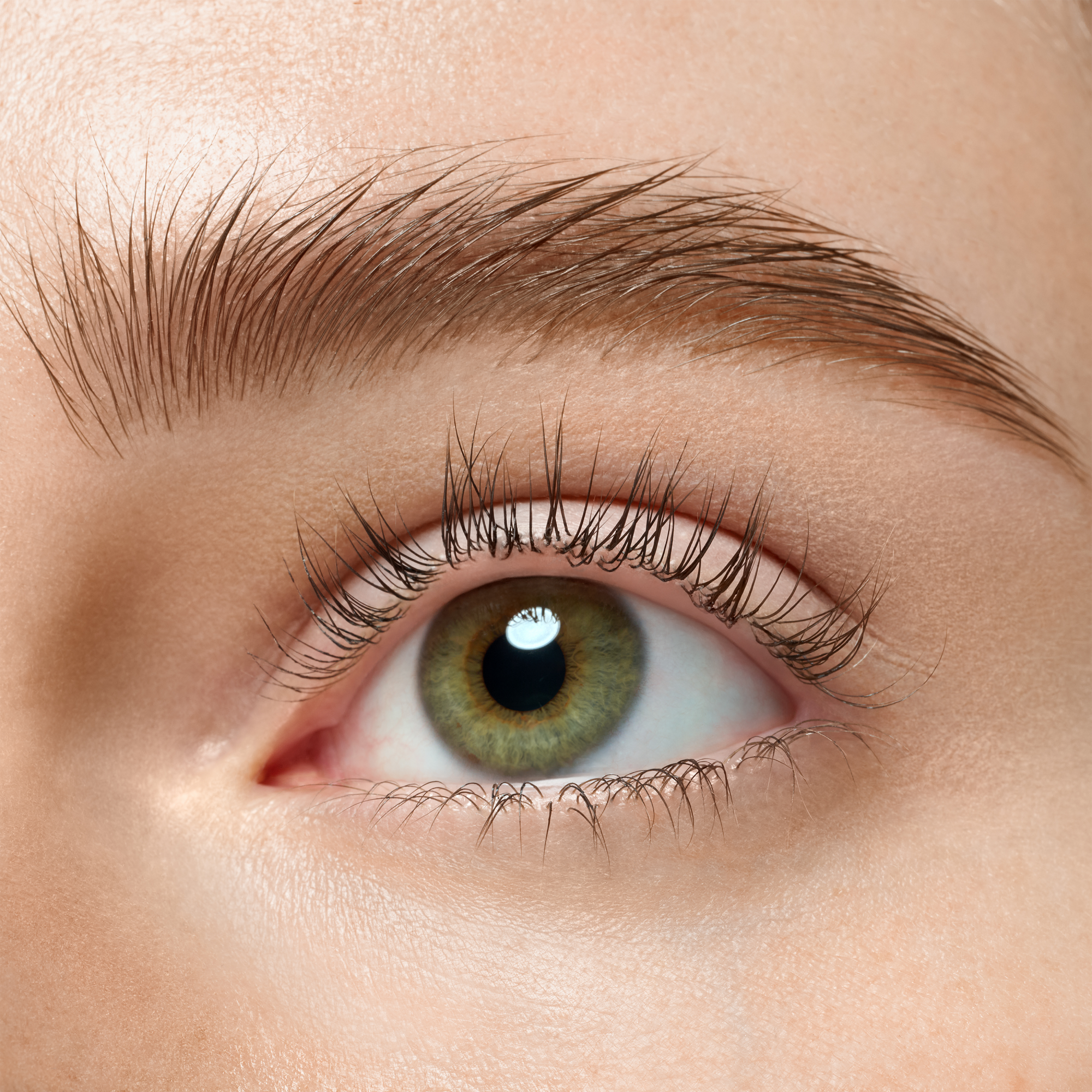 brow powder ikili kaş seti