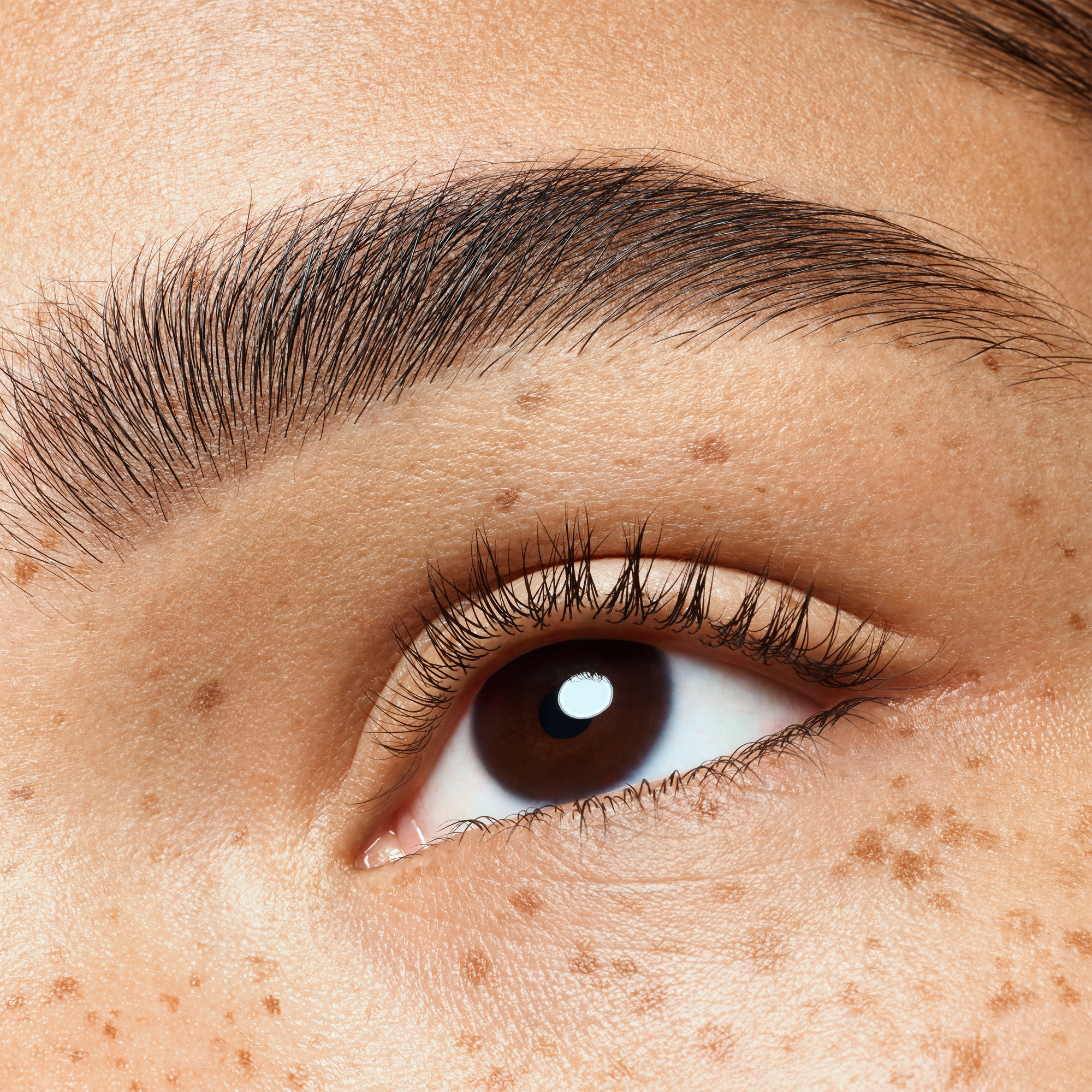 brow powder duo set