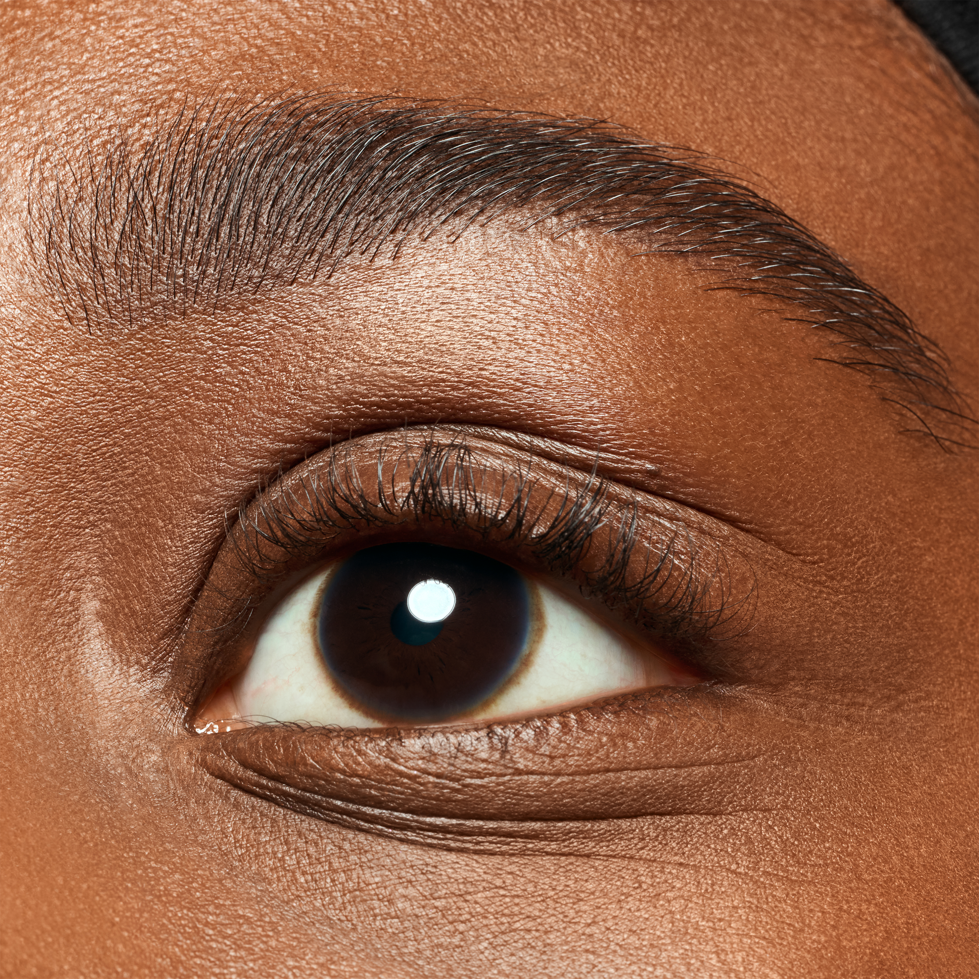 brow powder duo set