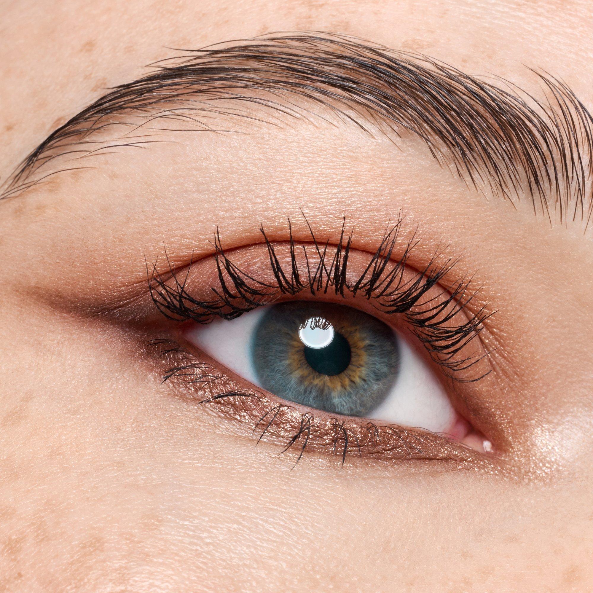 The Dark Cocoa Eyeshadow Palette