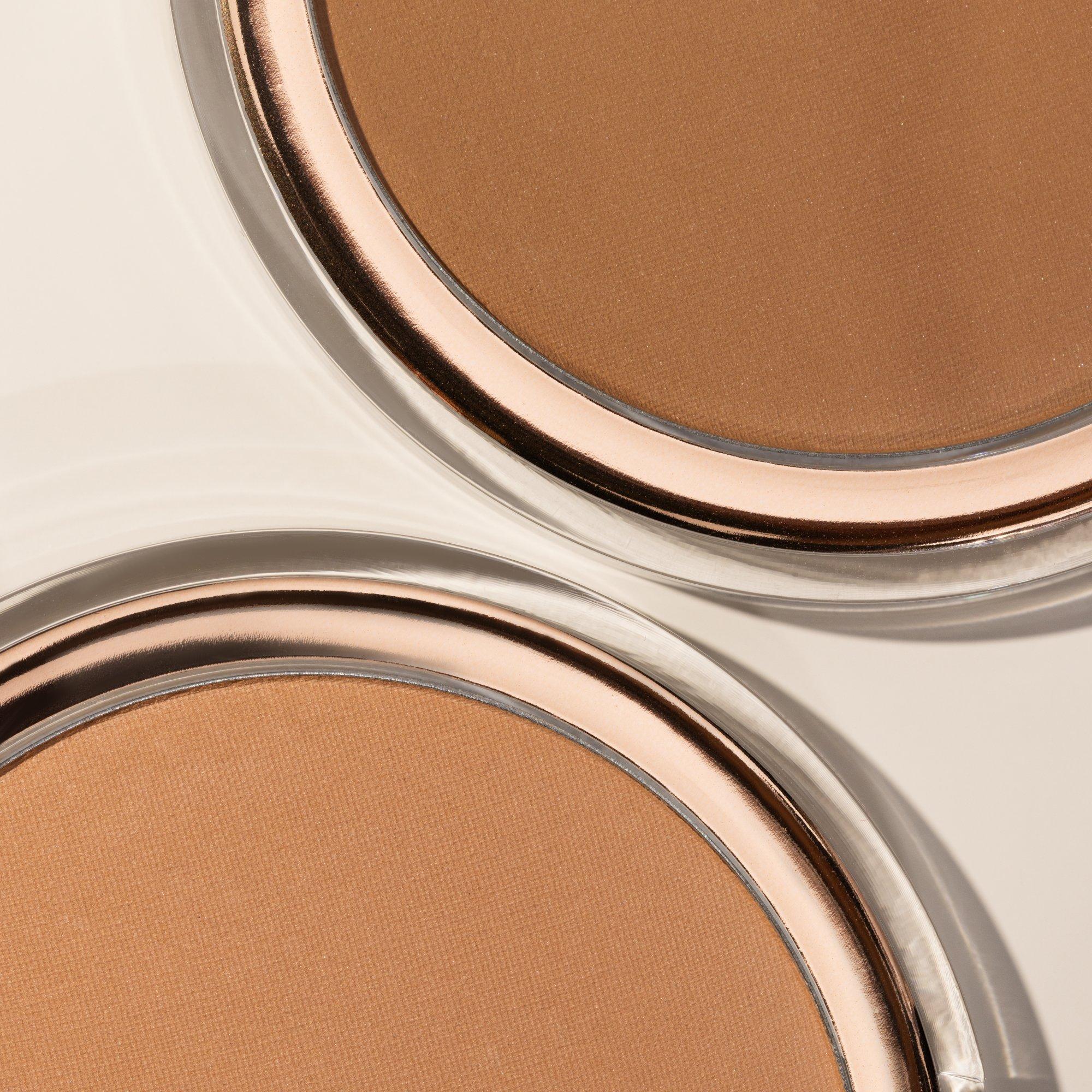 Holiday Skin Luminous Bronzer