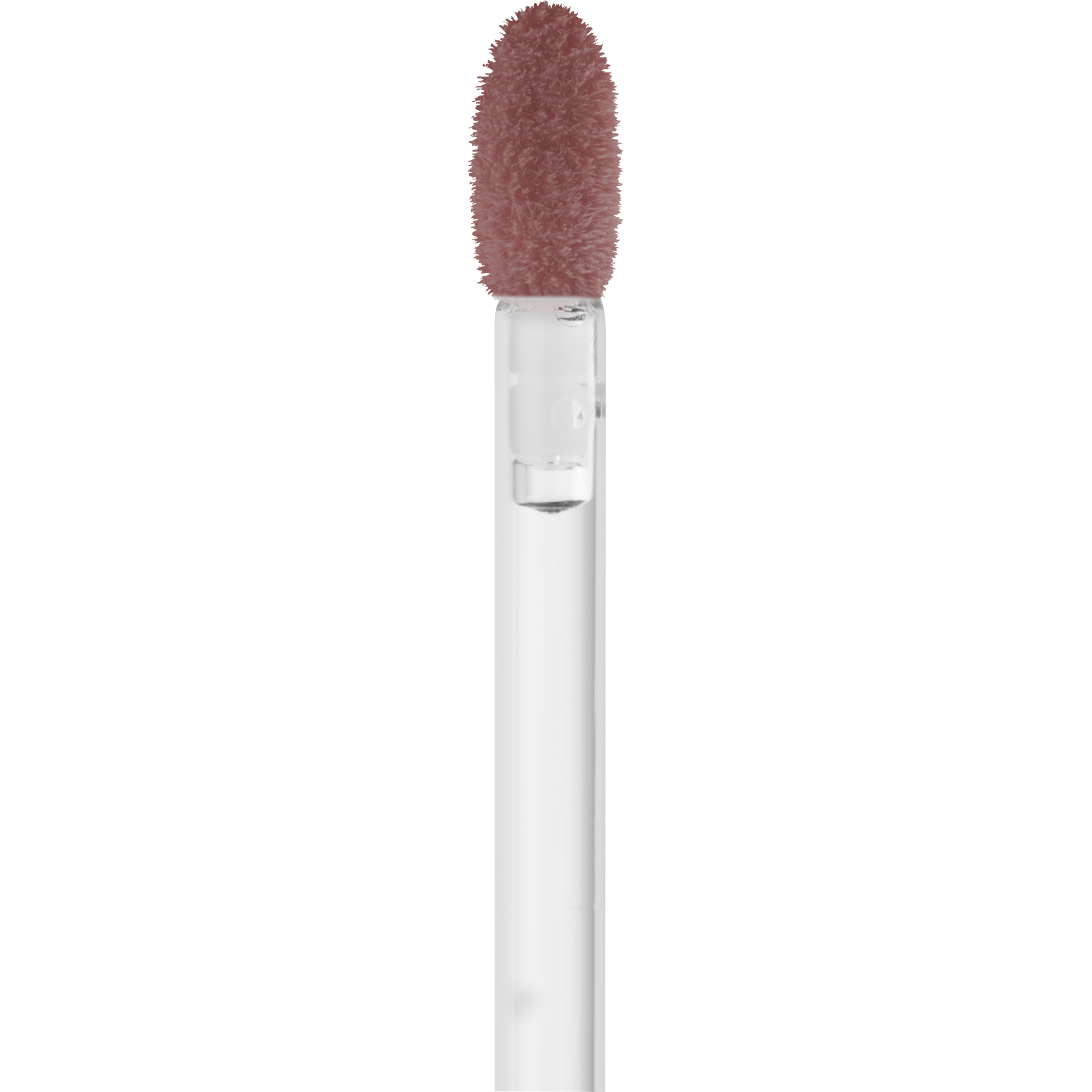 what the fake! PLUMPING LIPGLOSS