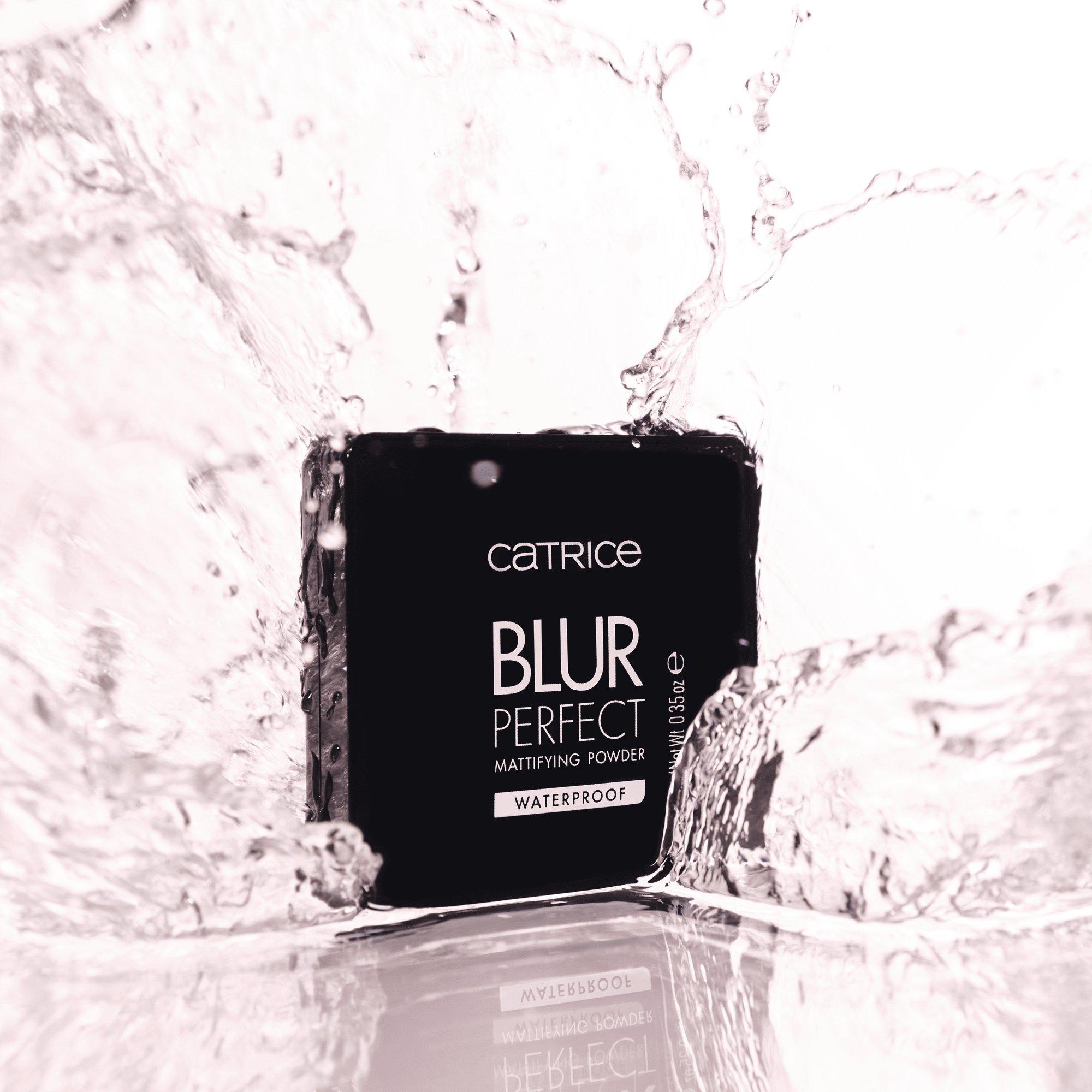 Blur Perfect Mattifying Powder Waterproof