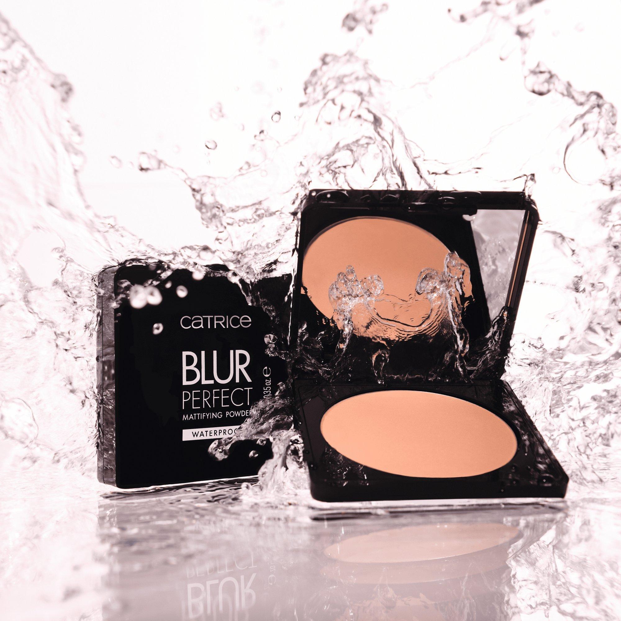 Blur Perfect Mattifying Powder Waterproof