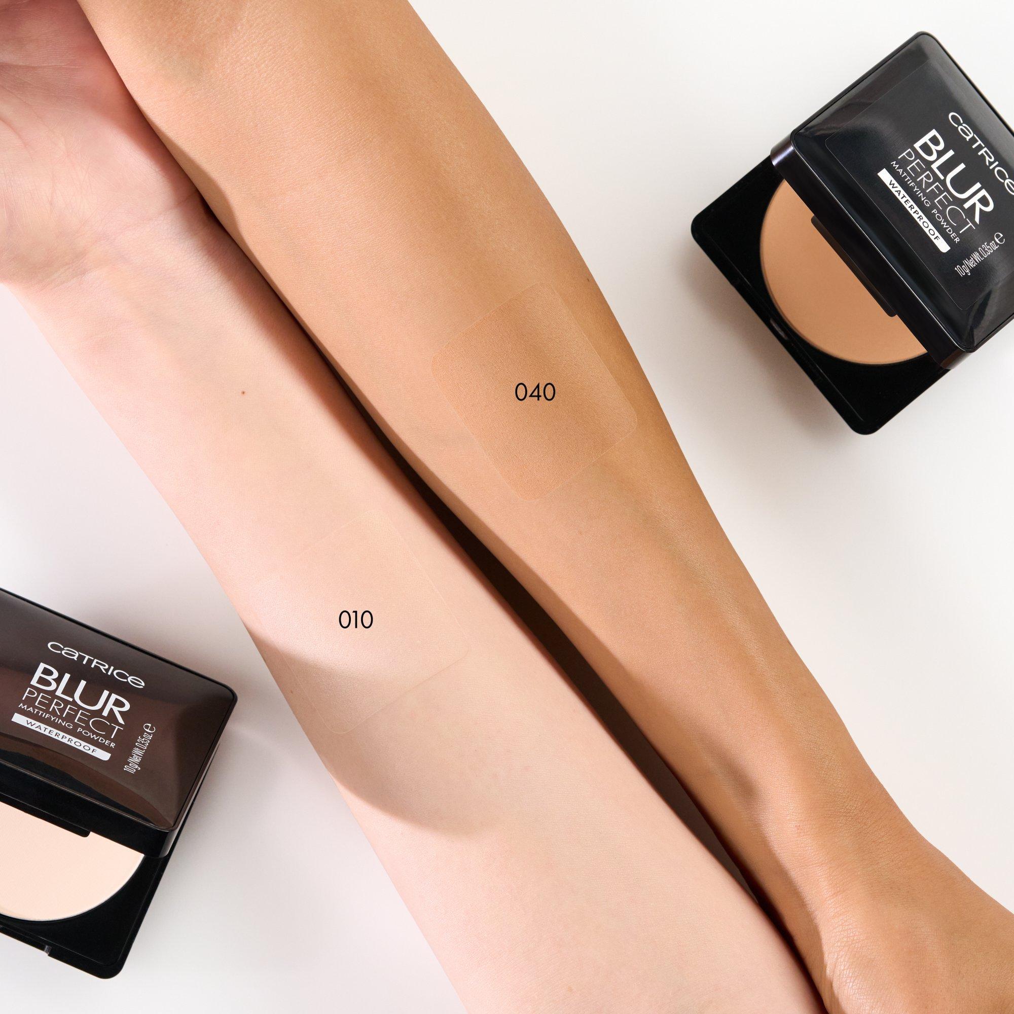 Blur Perfect Mattifying Powder Waterproof