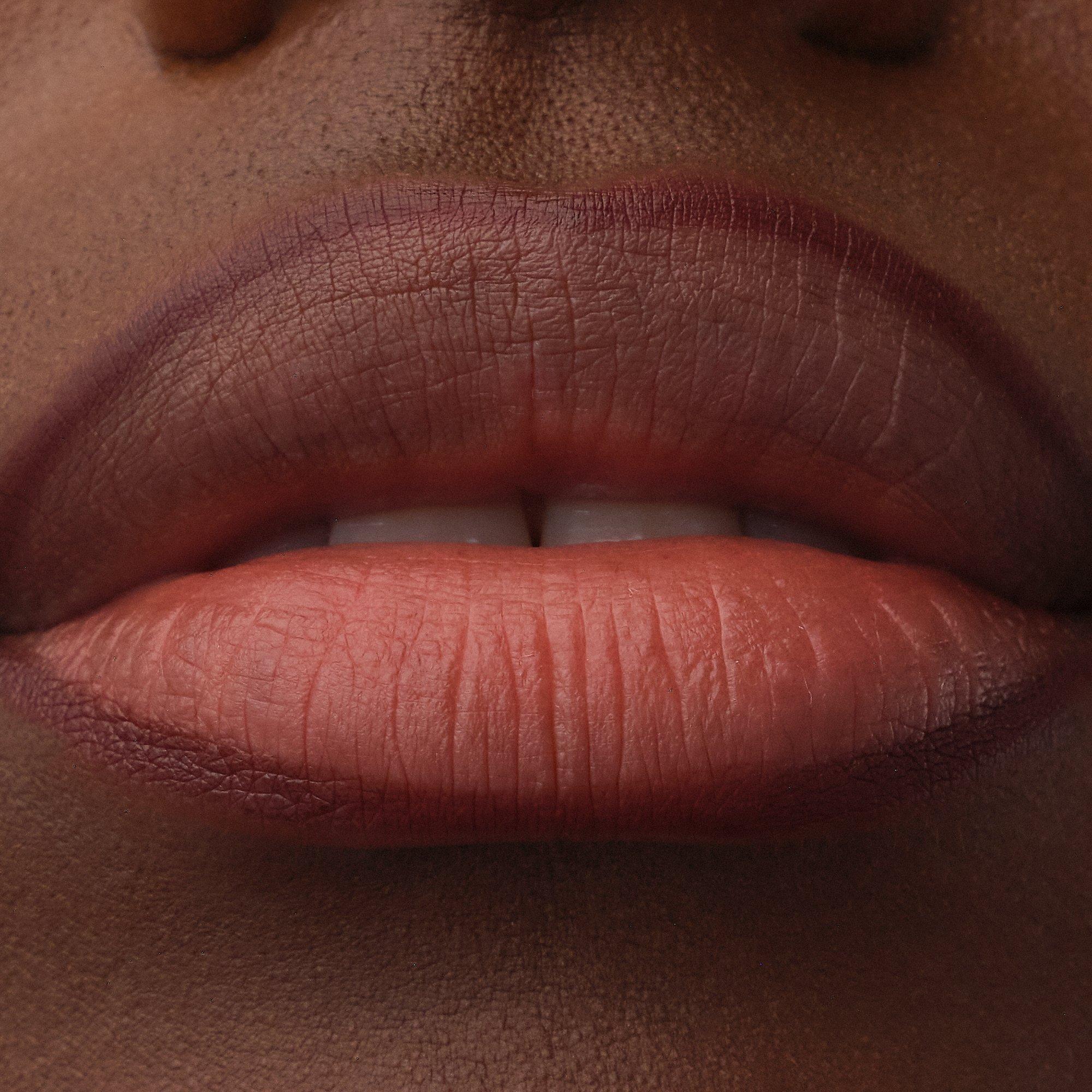Precision Ink Lipliner Stain