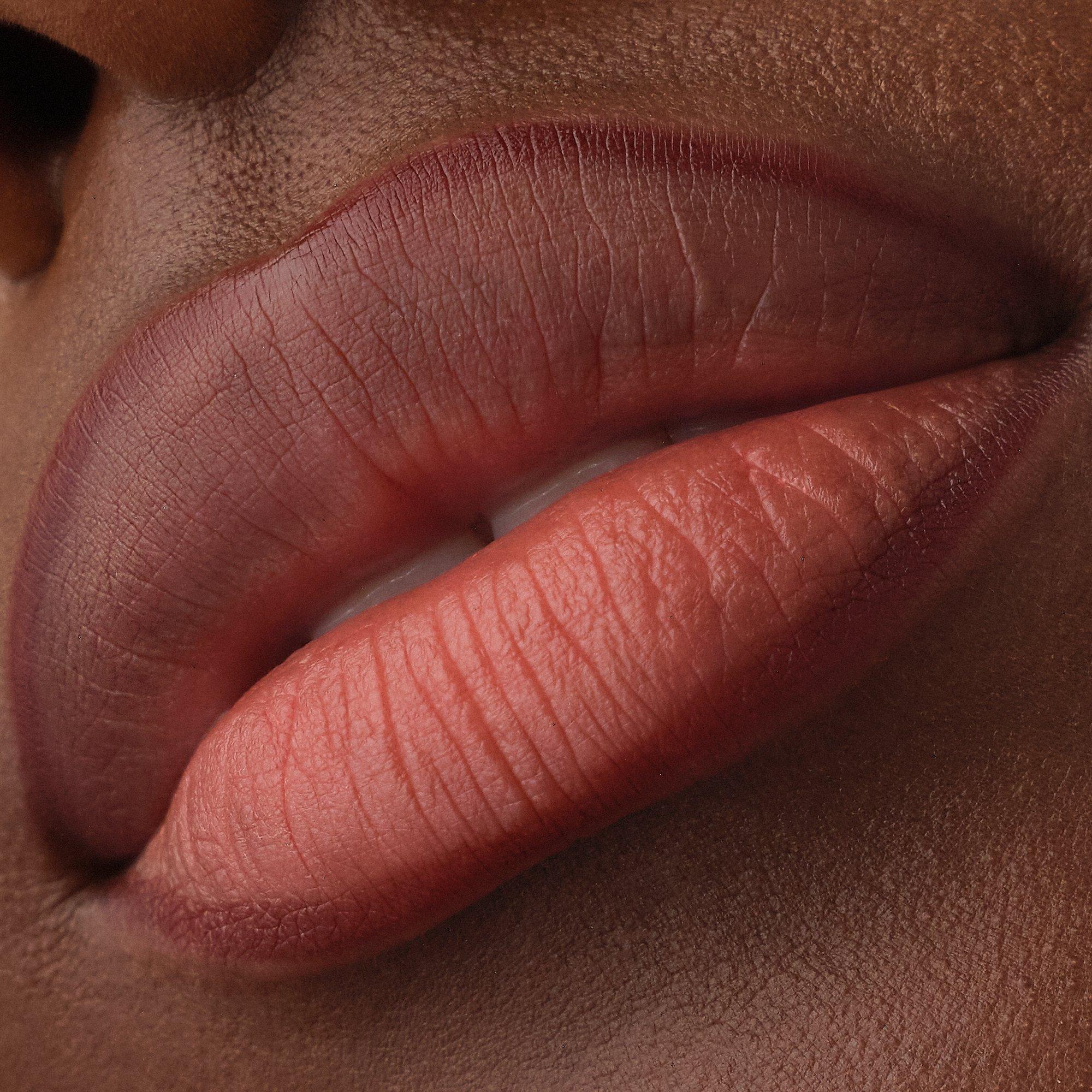 Precision Ink Lipliner Stain