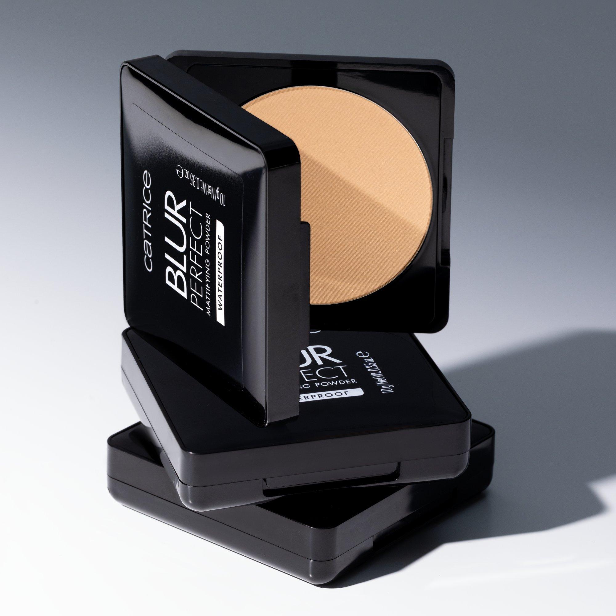 Blur Perfect Mattifying Powder Waterproof