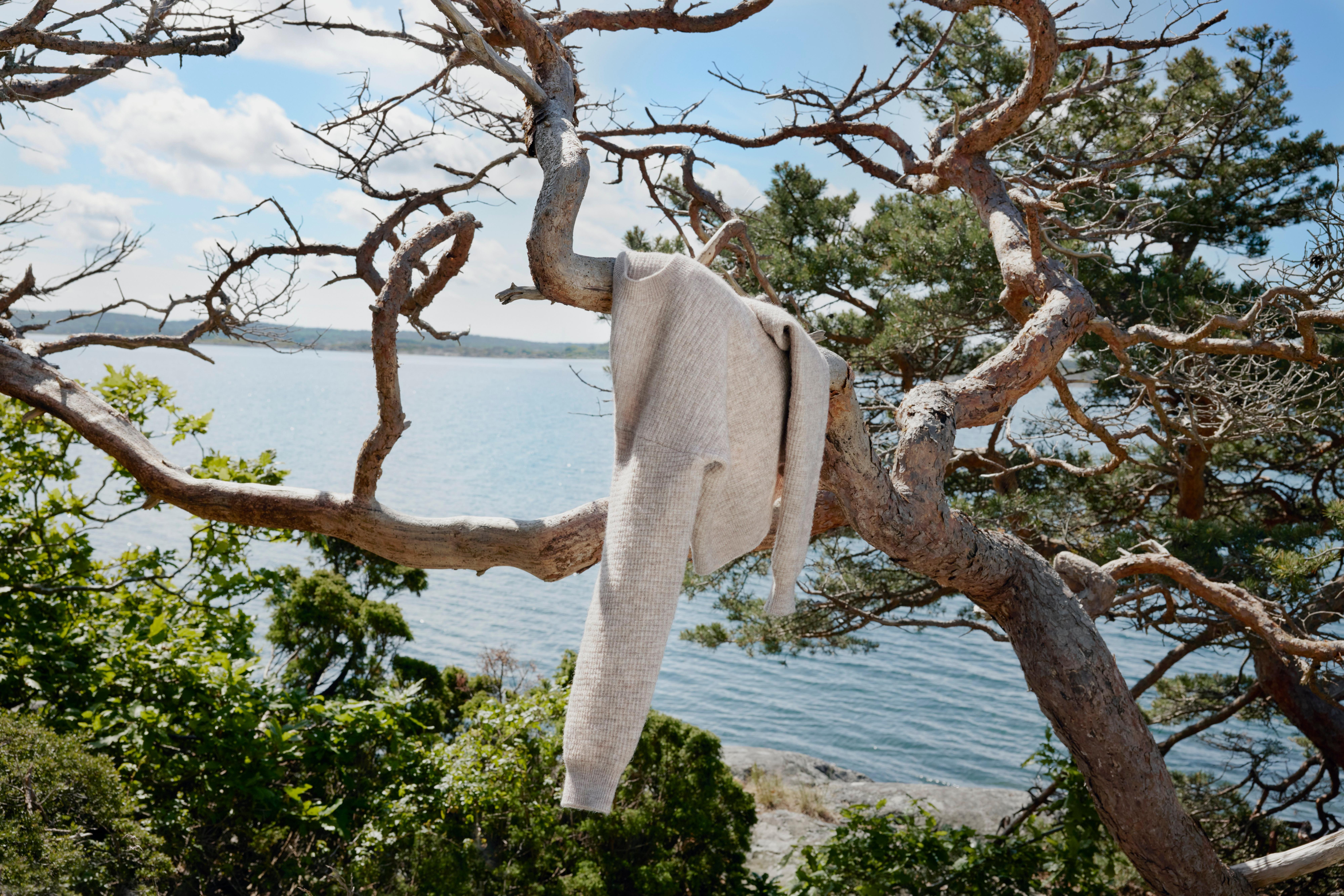 A wool sweater hanging from a tree.