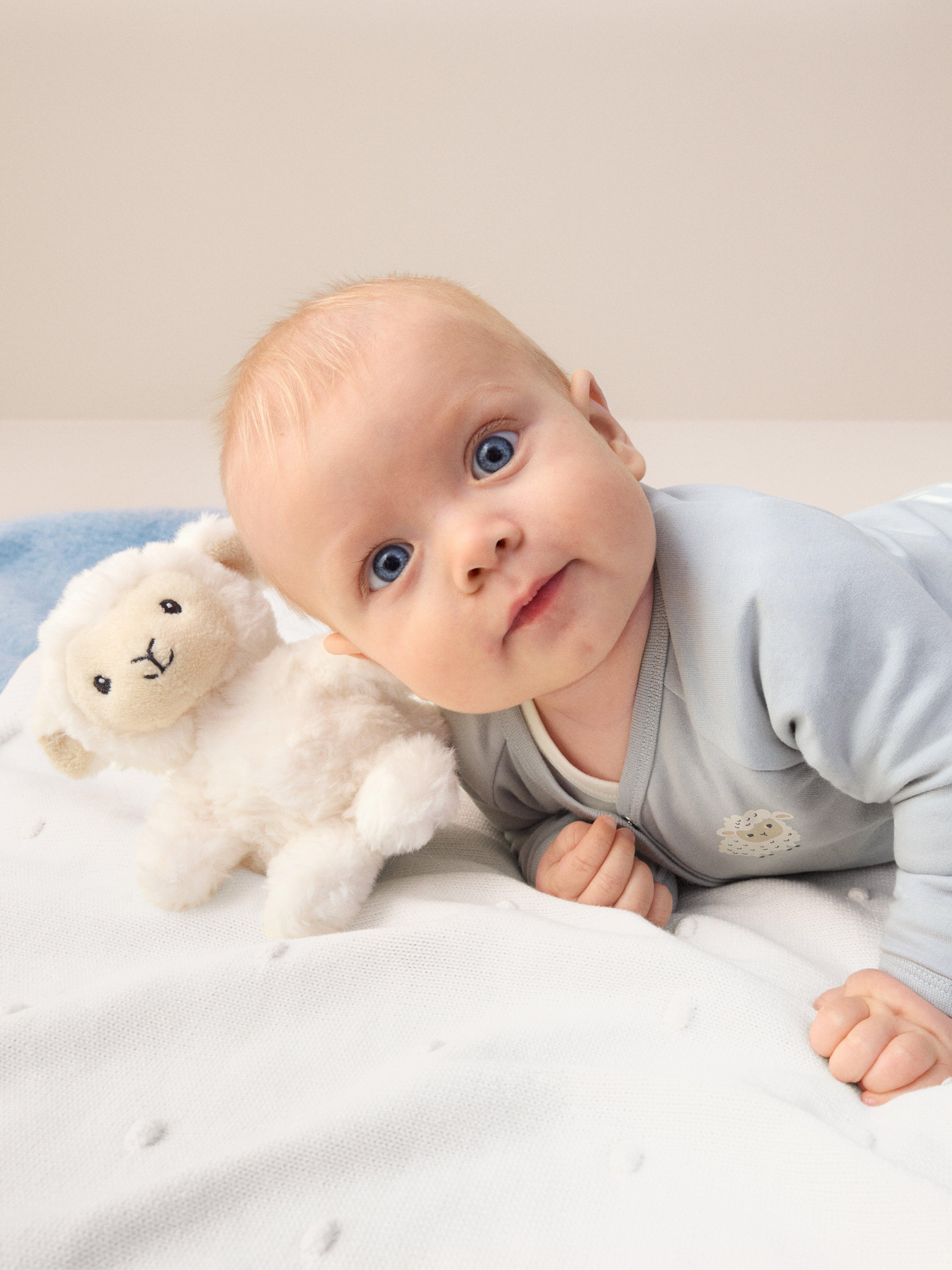 Teddy Bear - Kids Wear - White