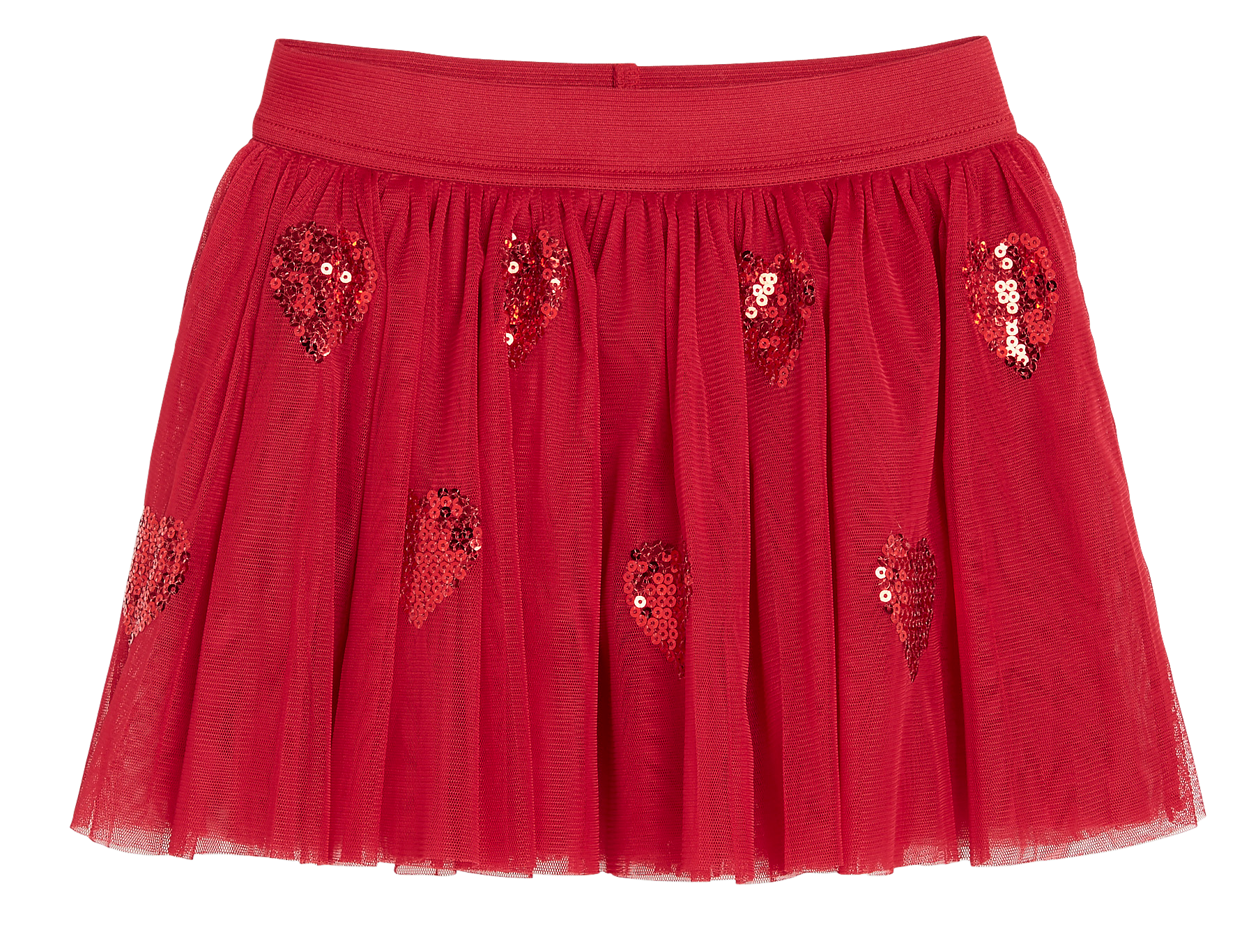 Tulle Skirt with Sequins