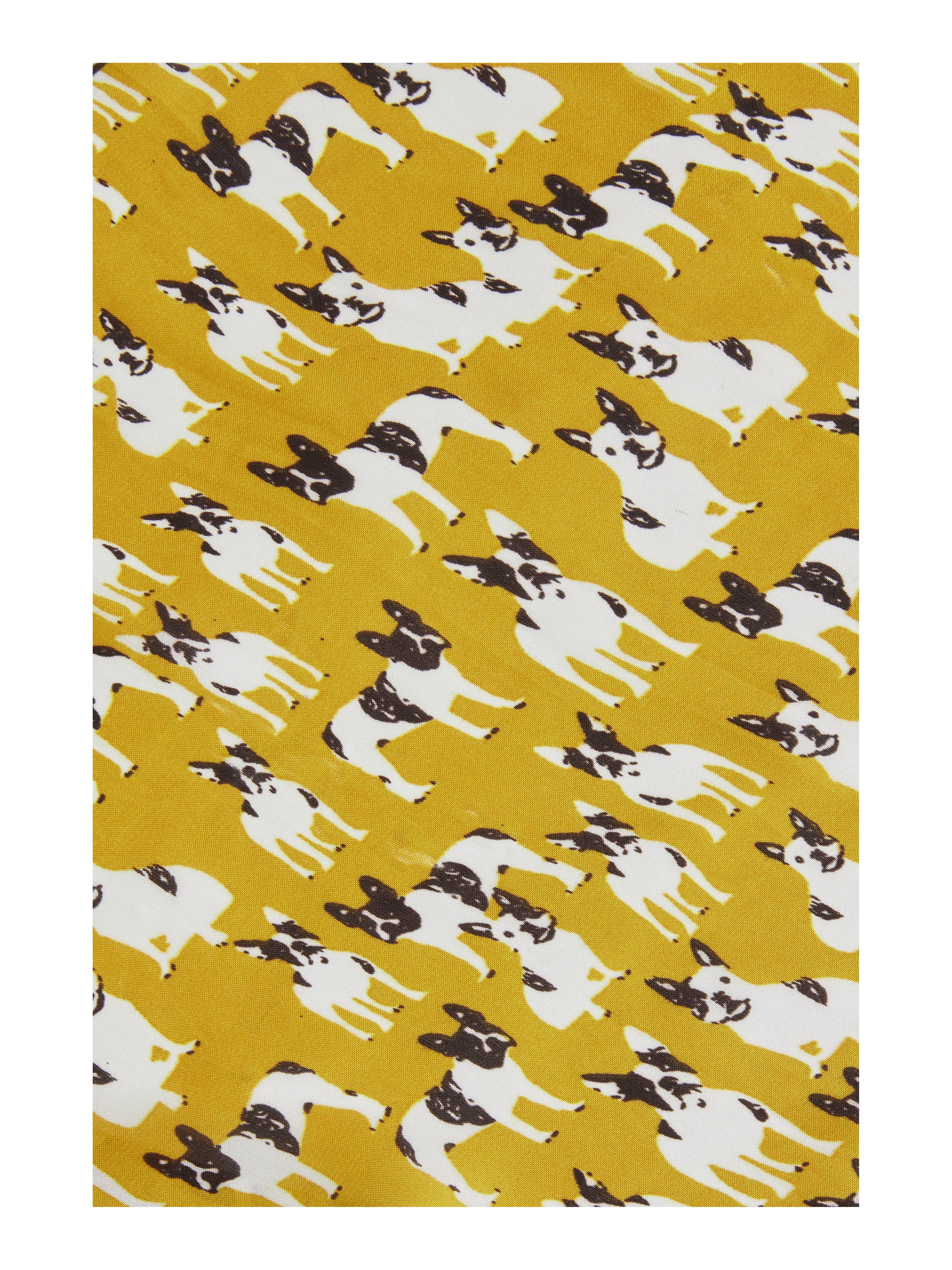 Scarf - Womens Wear - Yellow