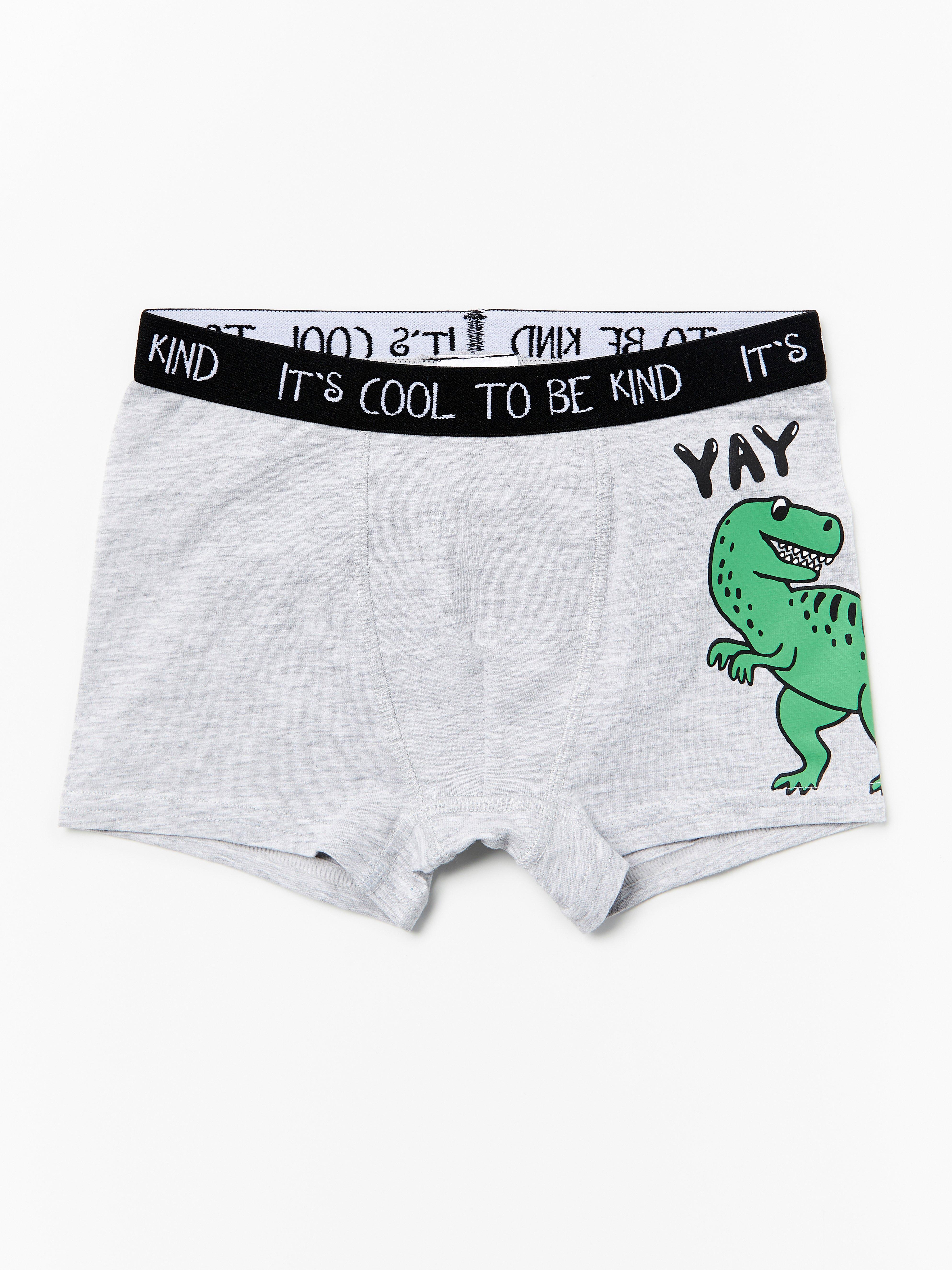 Boxer - Kids Wear - Grey