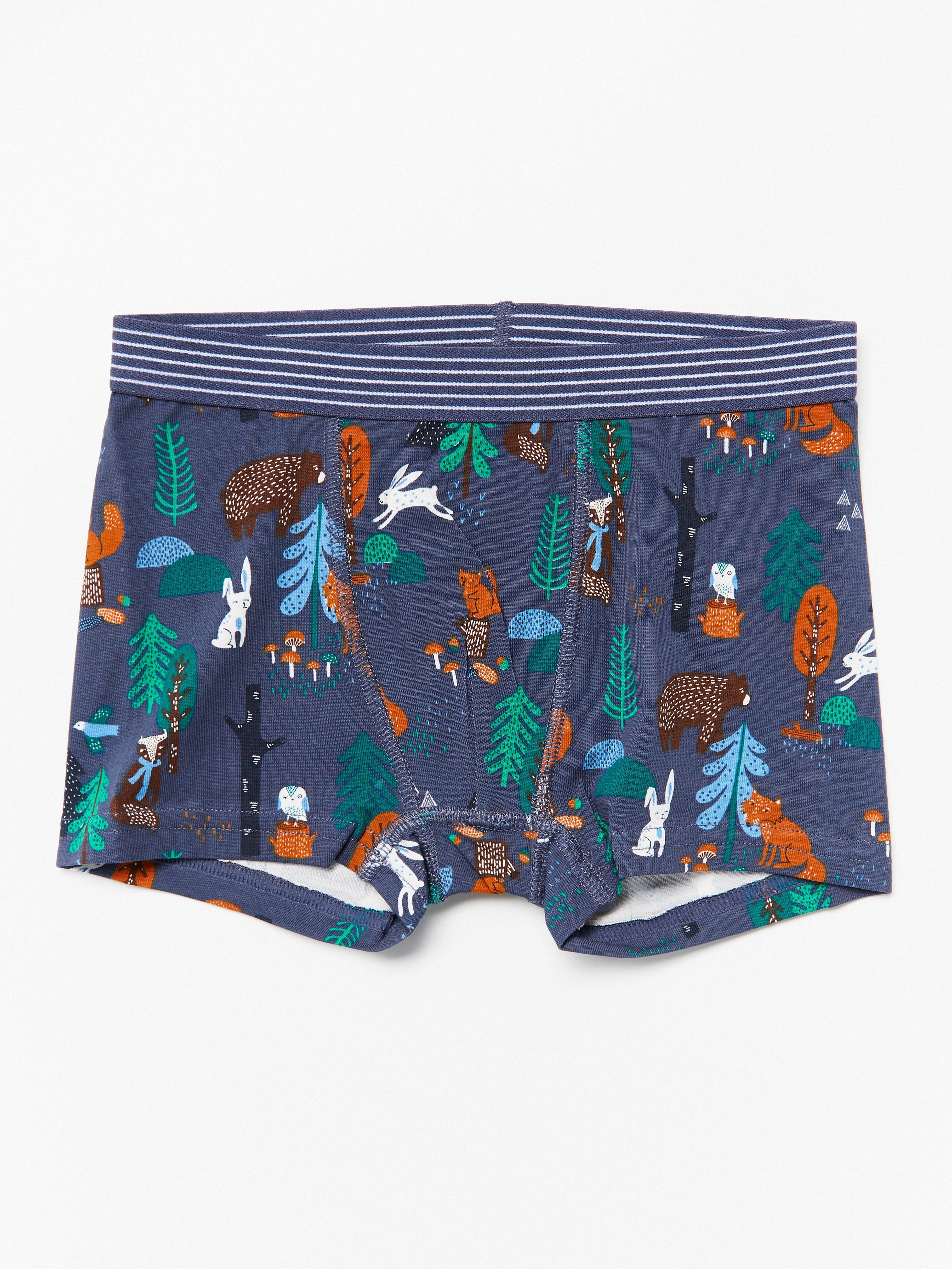 Boxer - Kids Wear - Blue
