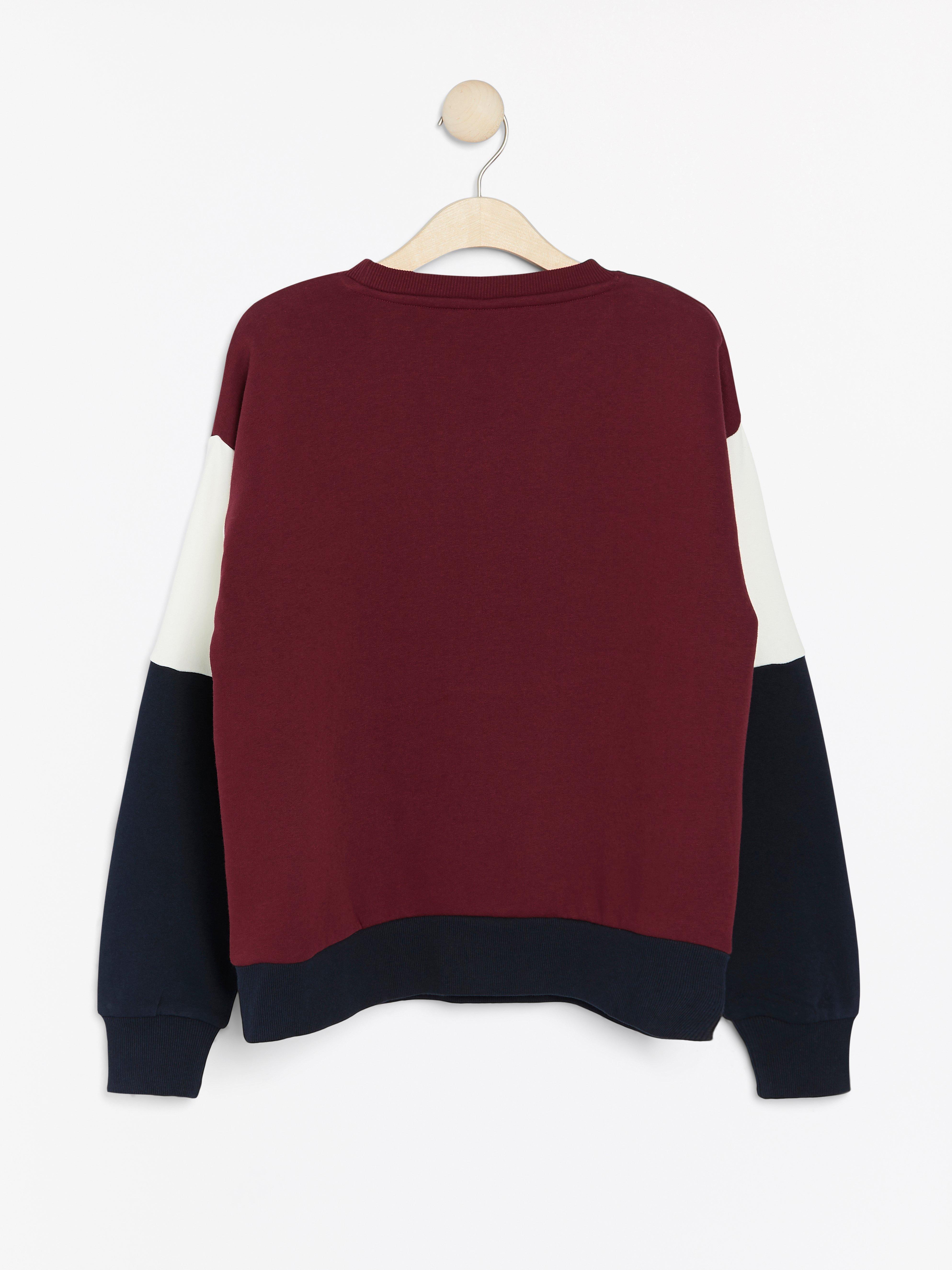 Sweatshirt - Kids Wear - Blue