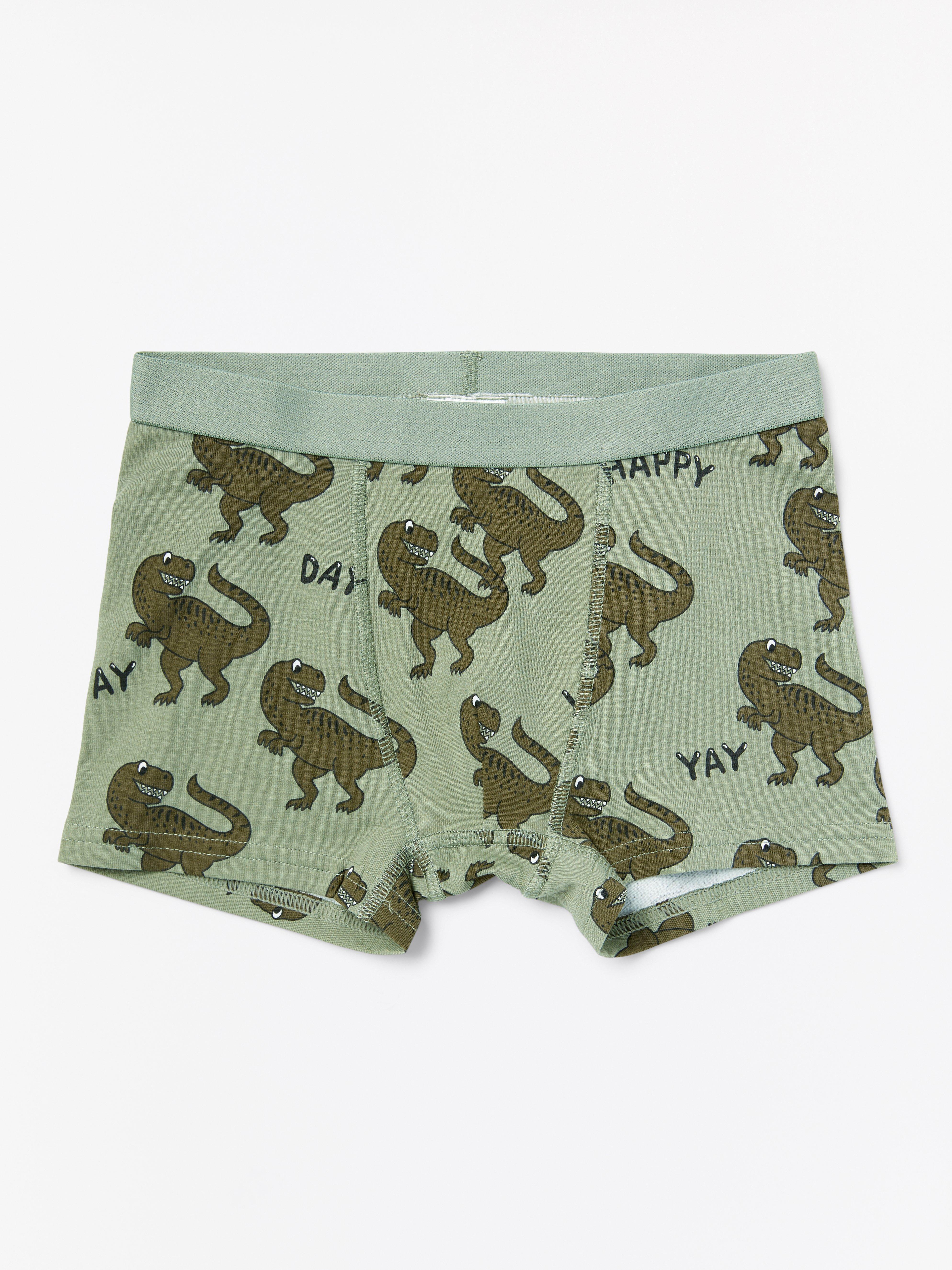 dinosaur boxer shorts