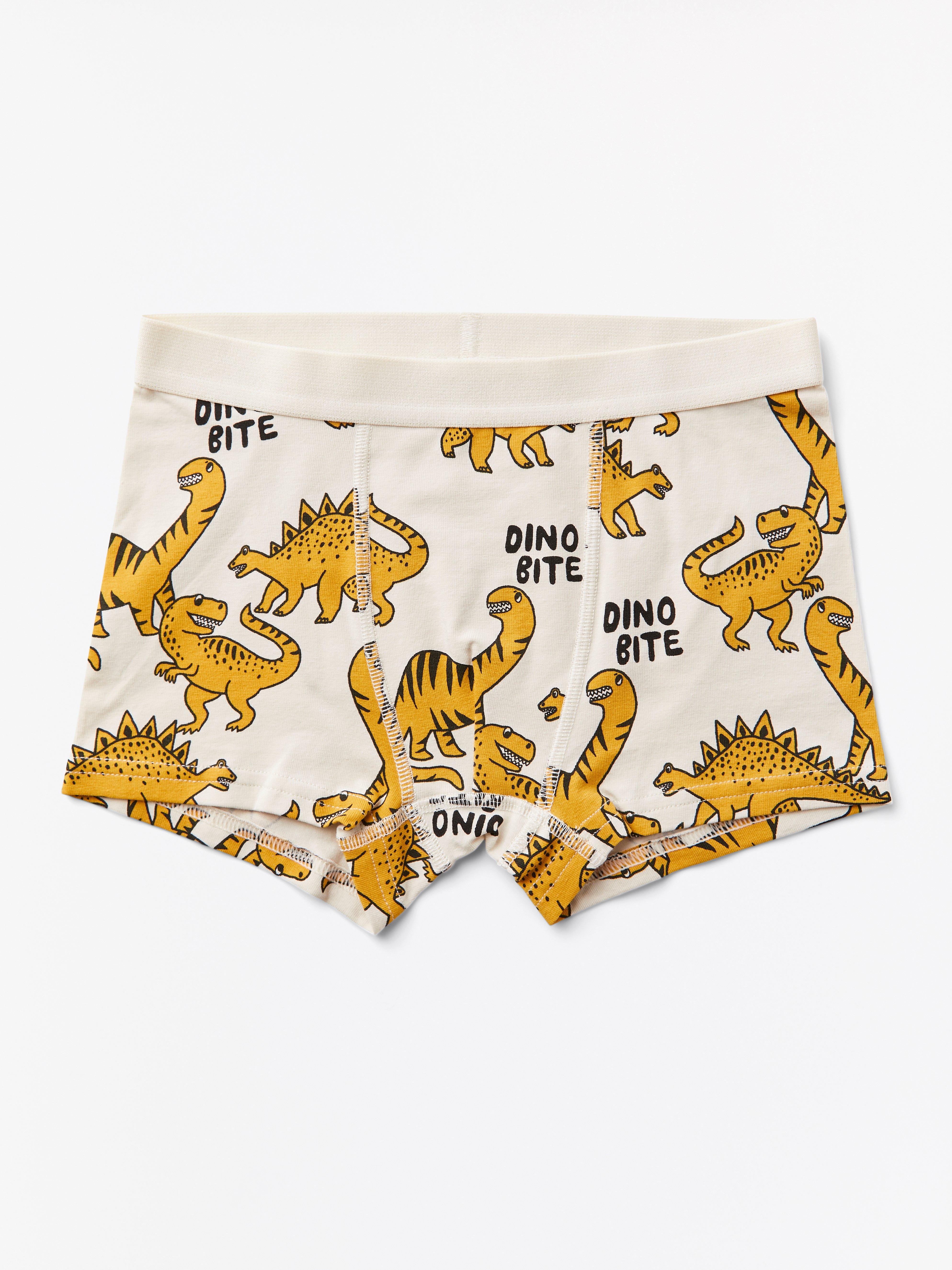 dinosaur boxer shorts