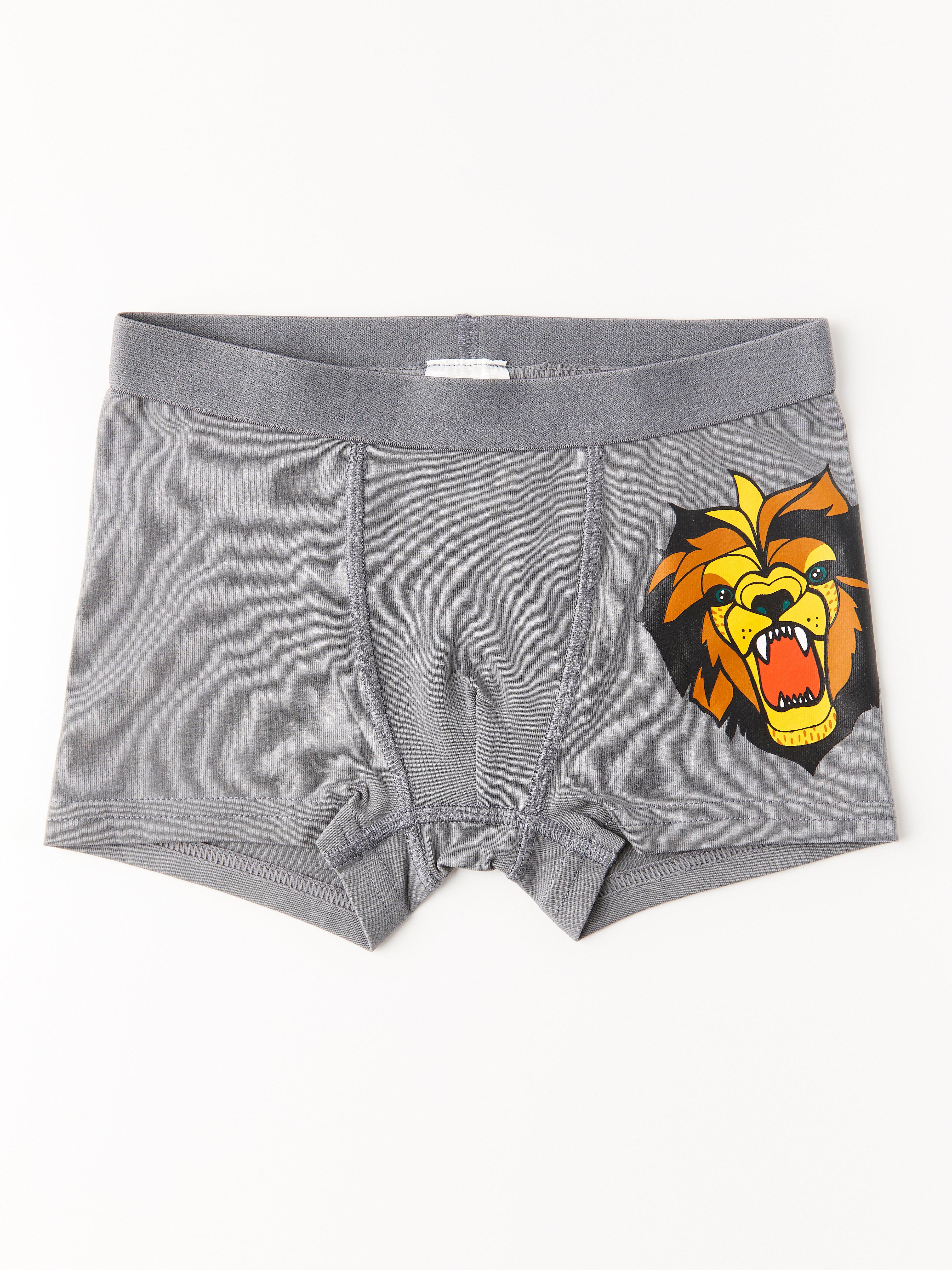 Boxer - Kids Wear - Grey