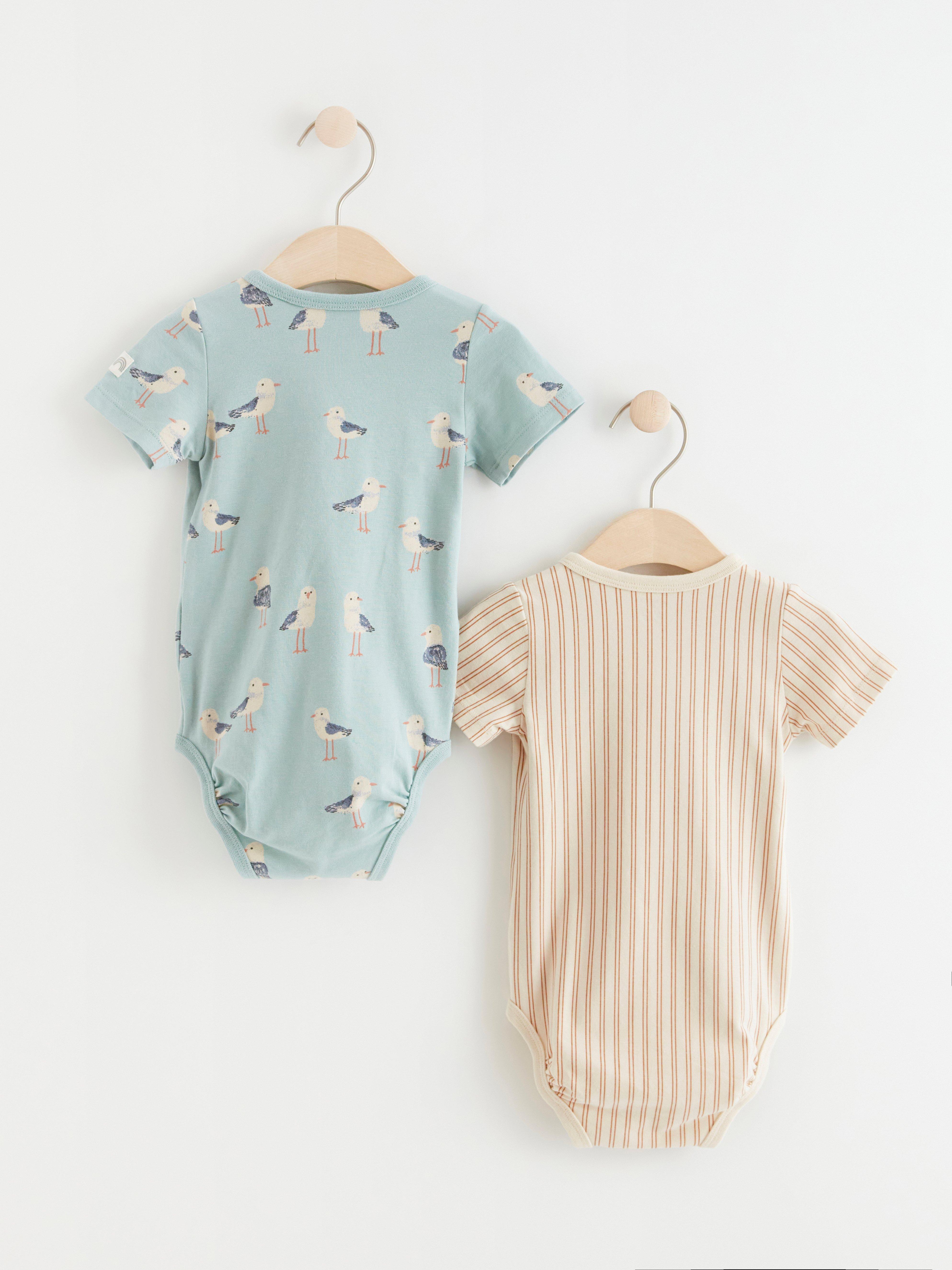 Body - Barn - Aqua