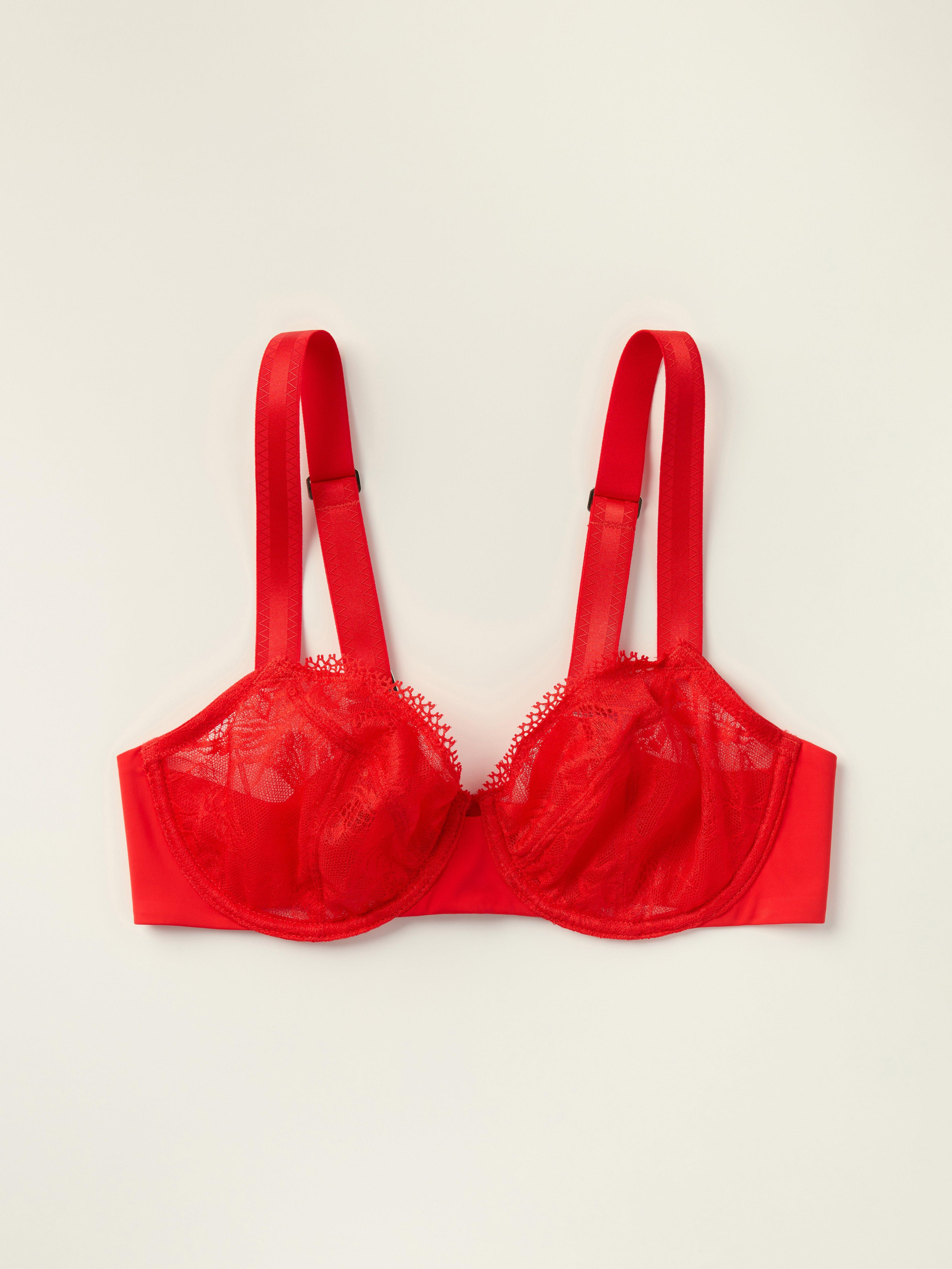 The Bird  wire bra  – Closely