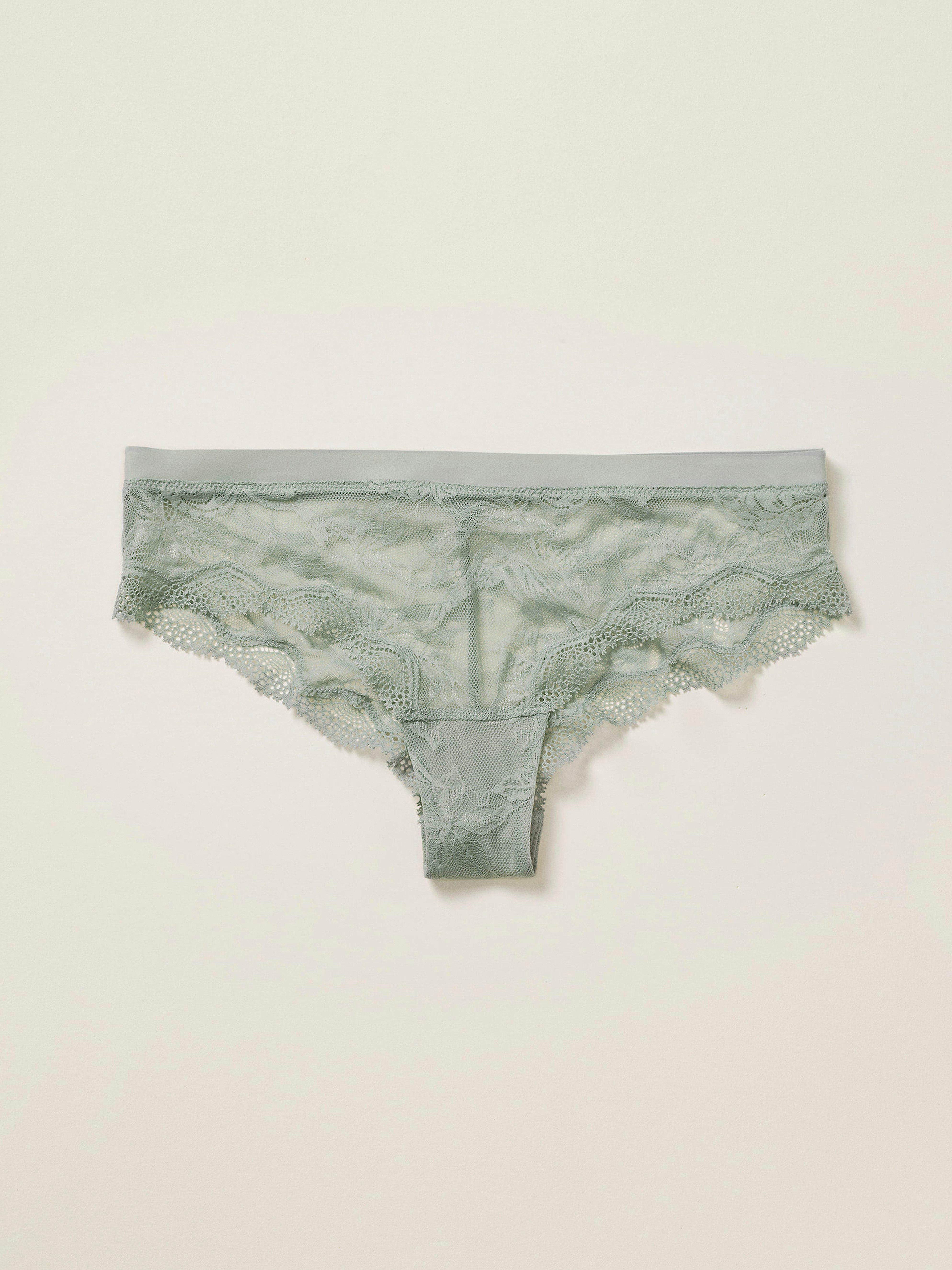 The Bird brazilian briefs  – Closely