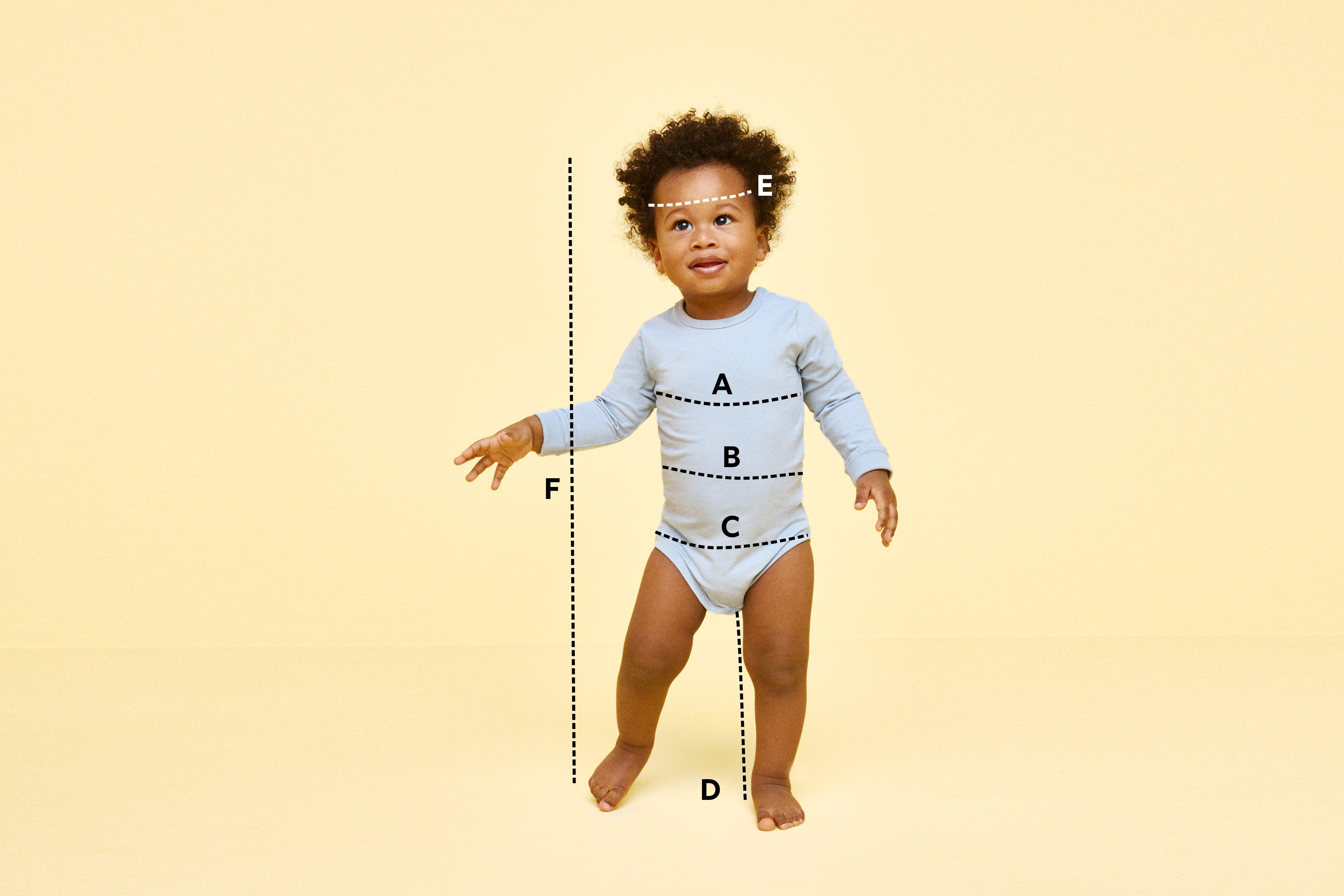 A measurement picture of a baby.