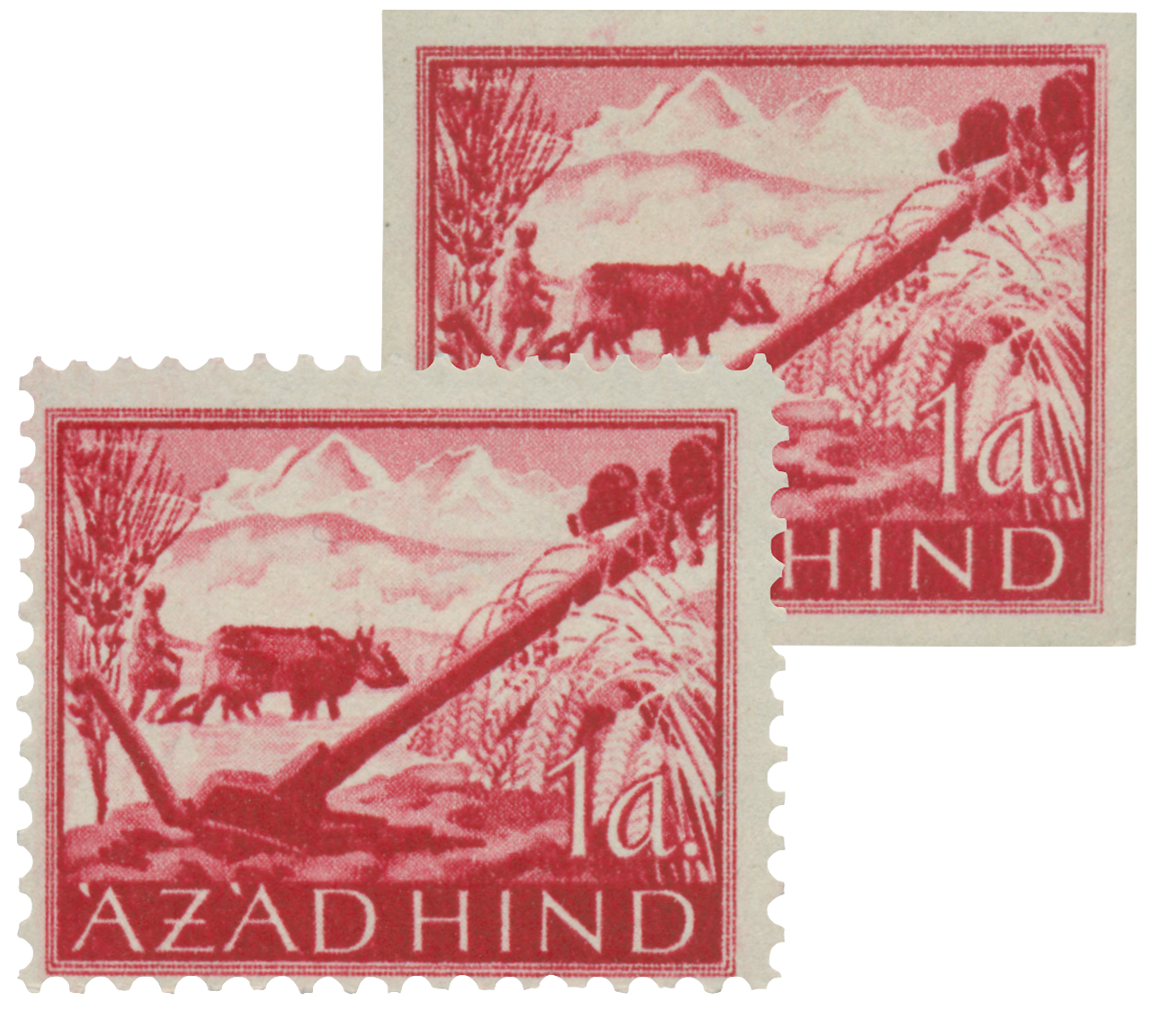 Prophila Collection – 50 Verschiedene Briefmarken Aus Indien – Echte Sammler-Marken, Ungesucht – Perfekt Für Den Einstieg Ins Briefmarkensammeln
