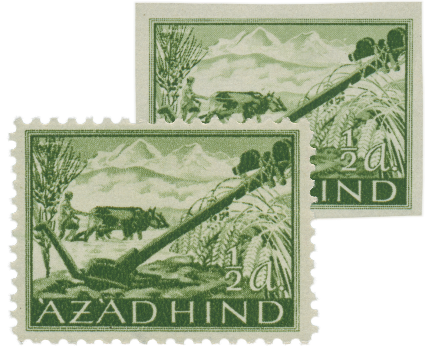 Prophila Collection – 50 Verschiedene Briefmarken Aus Indien – Echte Sammler-Marken, Ungesucht – Perfekt Für Den Einstieg Ins Briefmarkensammeln