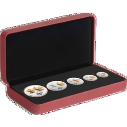 Fünf Silbermünzen mit goldenen Ahornblättern in einem Kästchen