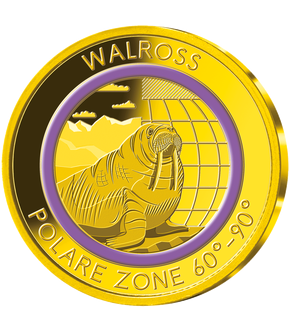 Die Gold-Gedenkprägung „Walross – polare Zone“ mit violettem Farbring