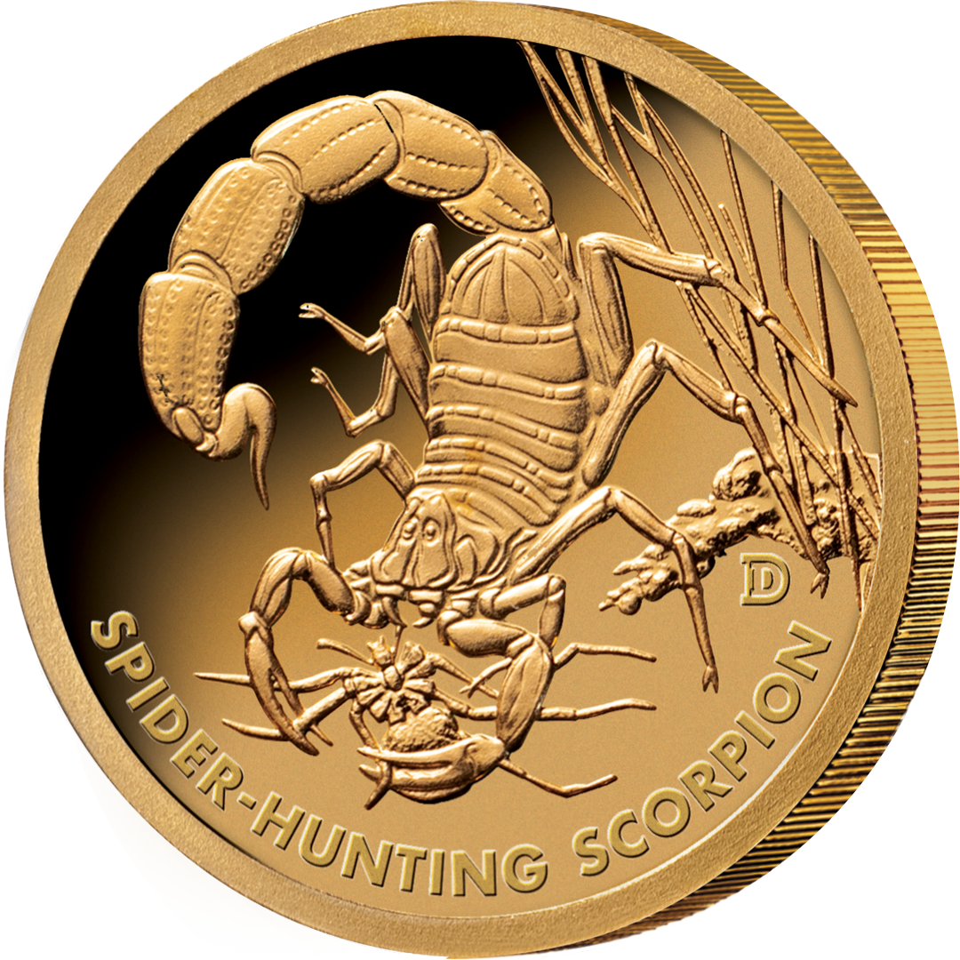 Australians Deadly & Dangerous Gold Collection ' "Spinnenjagender" Skorpion'