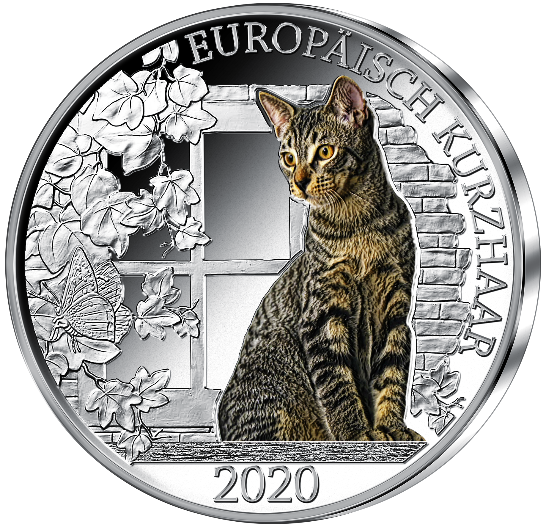 Silber-Gedenkprägung „Europäisch Kurzhaar“ mit Farbveredelung und „Glow in the Dark“-Effekt