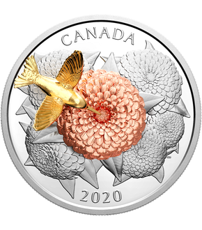 Kanada 2020 5 Unzen Silbermünze "Fliegender Kolibri"