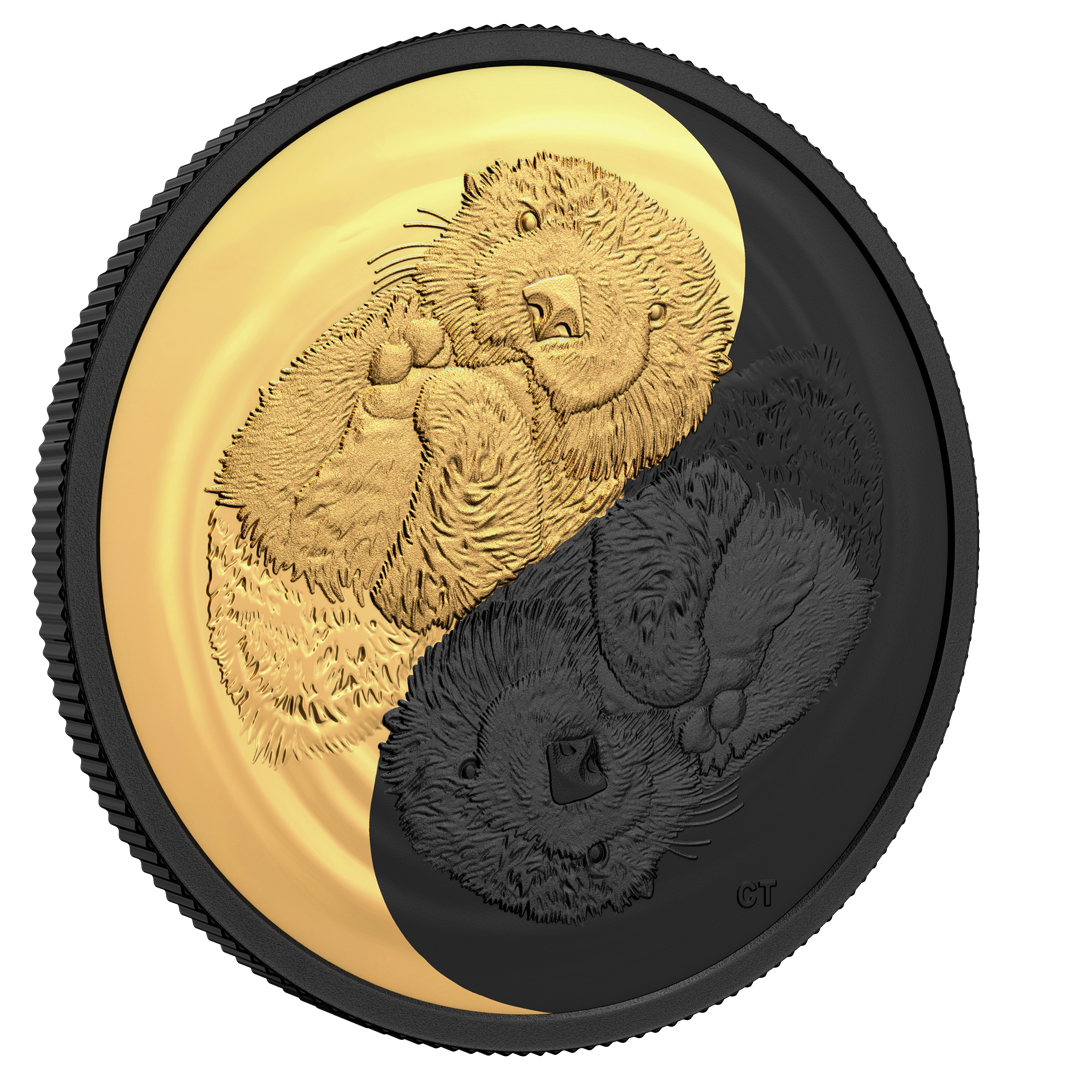 Monnaie en argent le plus pur plaqué de rhodium noir & doré à l'or pur «Loutre de mer» Canada 2022