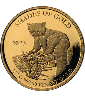 Kostbares 3er-Goldmünzen-Set 2023 "Shades of Gold - Red Panda"