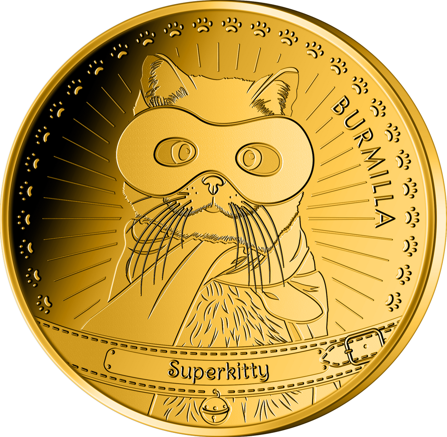 Die Vorderseite der Sonderprägung "Superkitty Burmilla"
