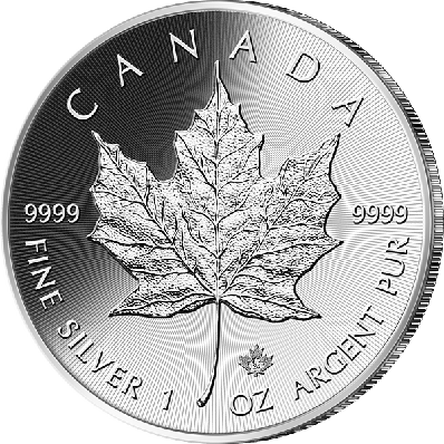 silber-maple-leaf-VS