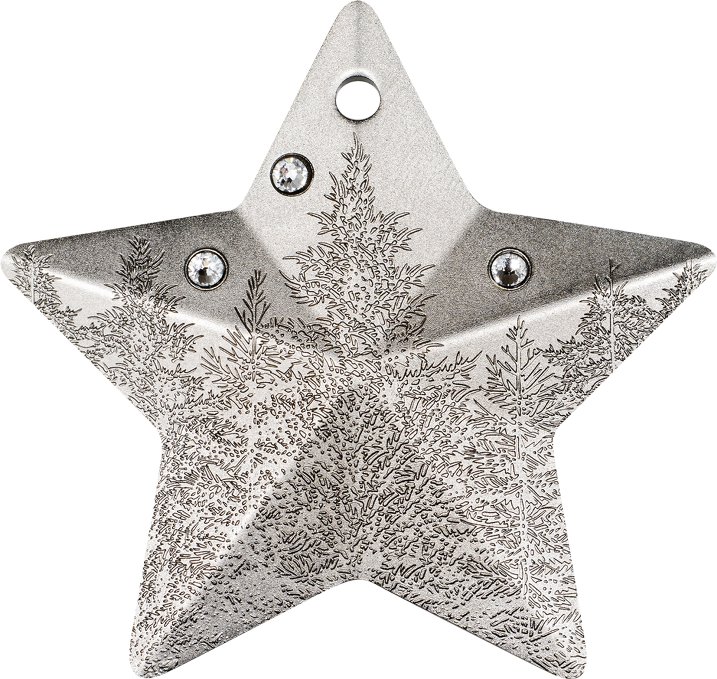 Die Vorderseite der 1 Unze-Silber-Gedenkmünze 