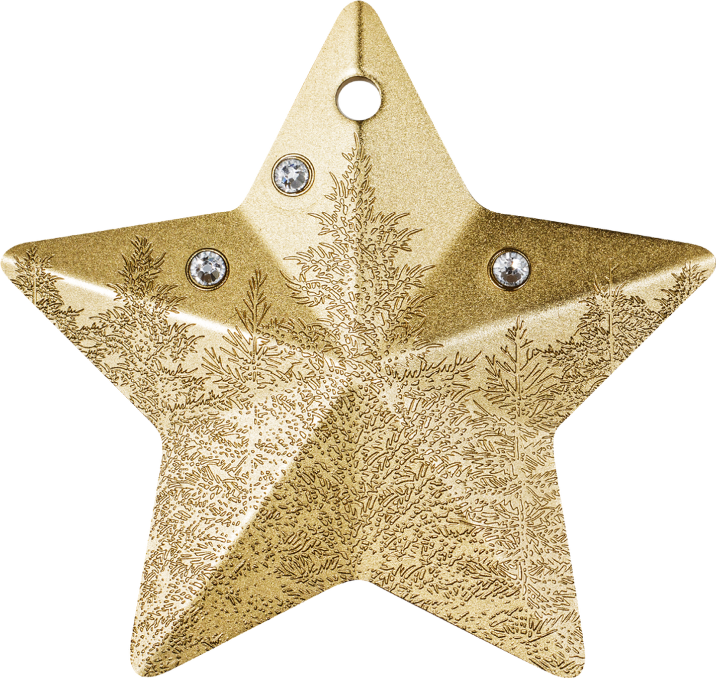 Die Vorderseite der vergoldeten 1 Unze-Silber-Gedenkmünze 