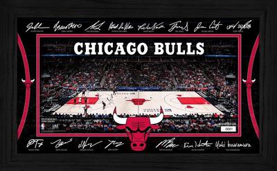 Offizielles Chicago Bulls Signature Court Poster