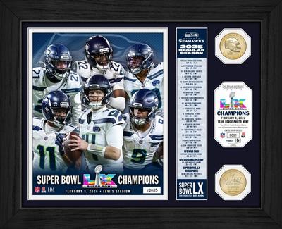 Rahmen mit Bronze-Prägung „Seattle Seahawks”