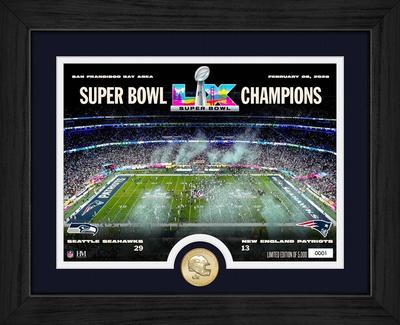 Rahmen mit Bronze-Prägung „Seattle Seahawks”