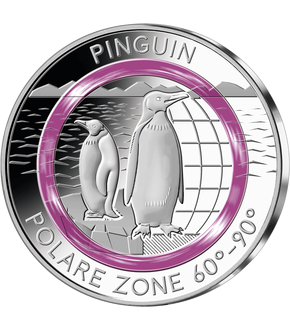 Erster Original-Polymerring in violett: Einstieg mit dem "Pinguin"!