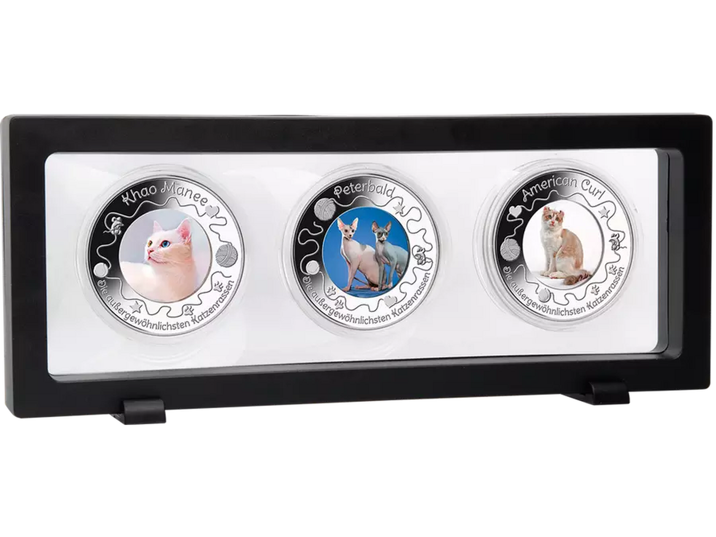 Das innovative Silber-Set bestehend aus "Khao Manee", "Peterbald" und "American Curl"