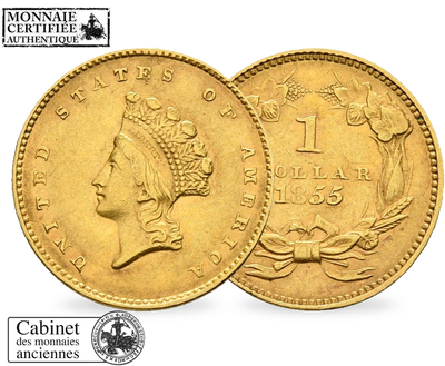 Monnaie ancienne en or de 1 Dollar « Princesse indienne » USA