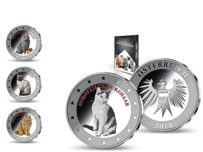 Die Europäische Kurzhaar-Katze in edlem Silber mit hochwertigem Relief-Farbdruck