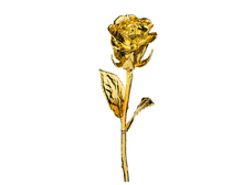 Une véritable rose naturelle, dorée à l'or pur 24 carats